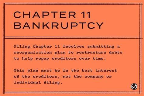 what is Chapter 11 bankruptcy?
