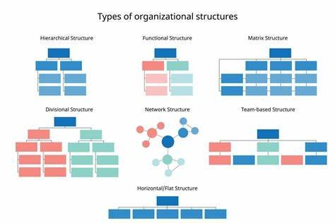 what are the different types of company structures?