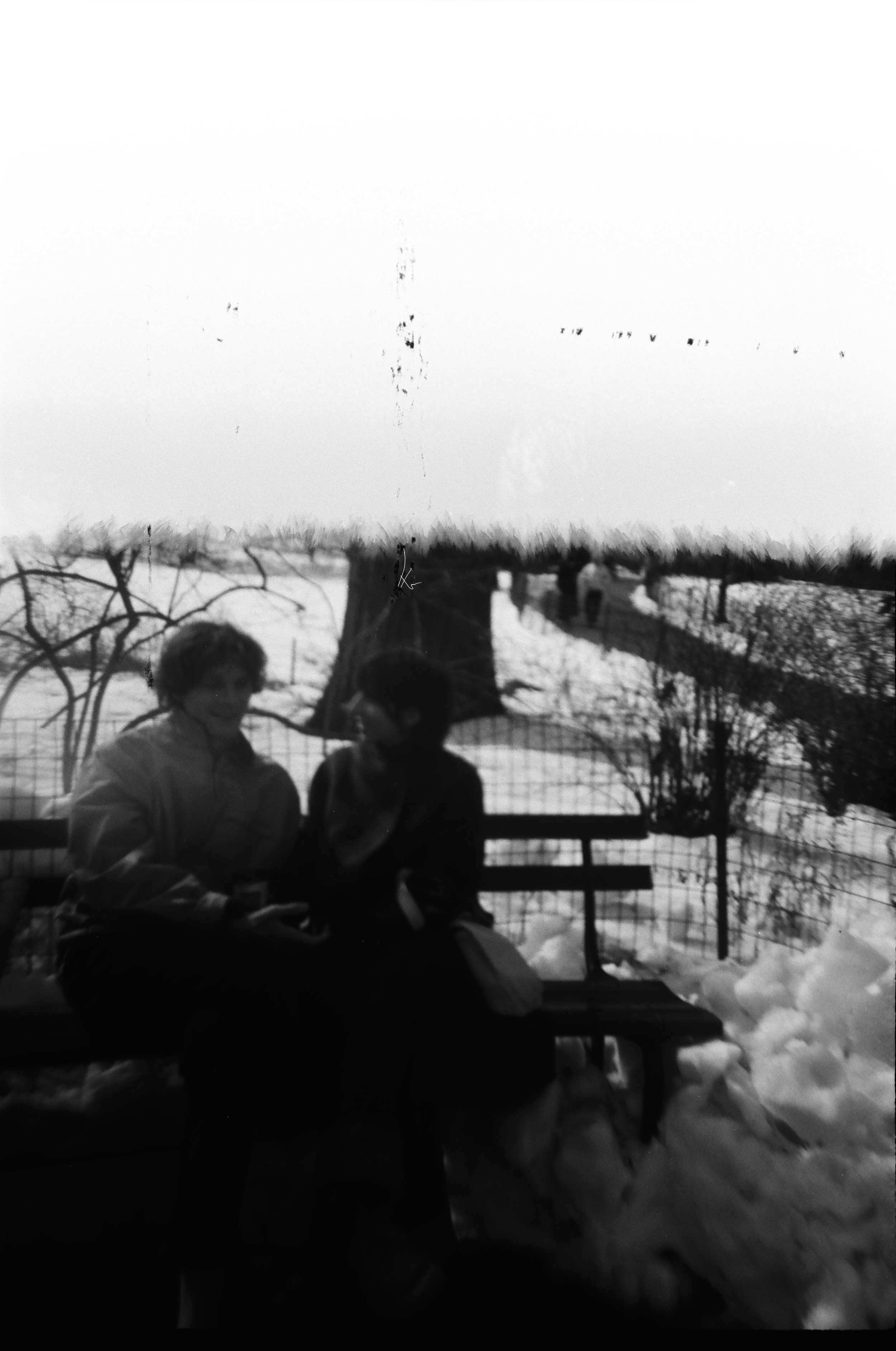 web-000184820001.jpg