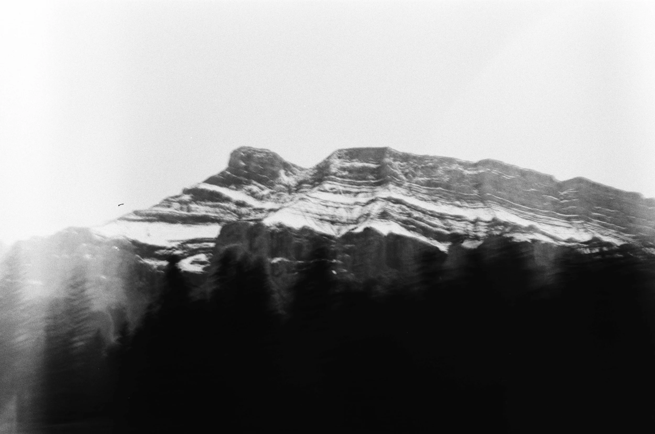 film trip-929.jpg