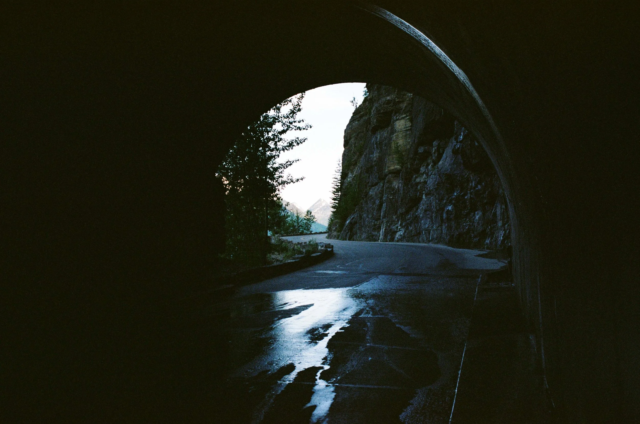 film trip-835.jpg