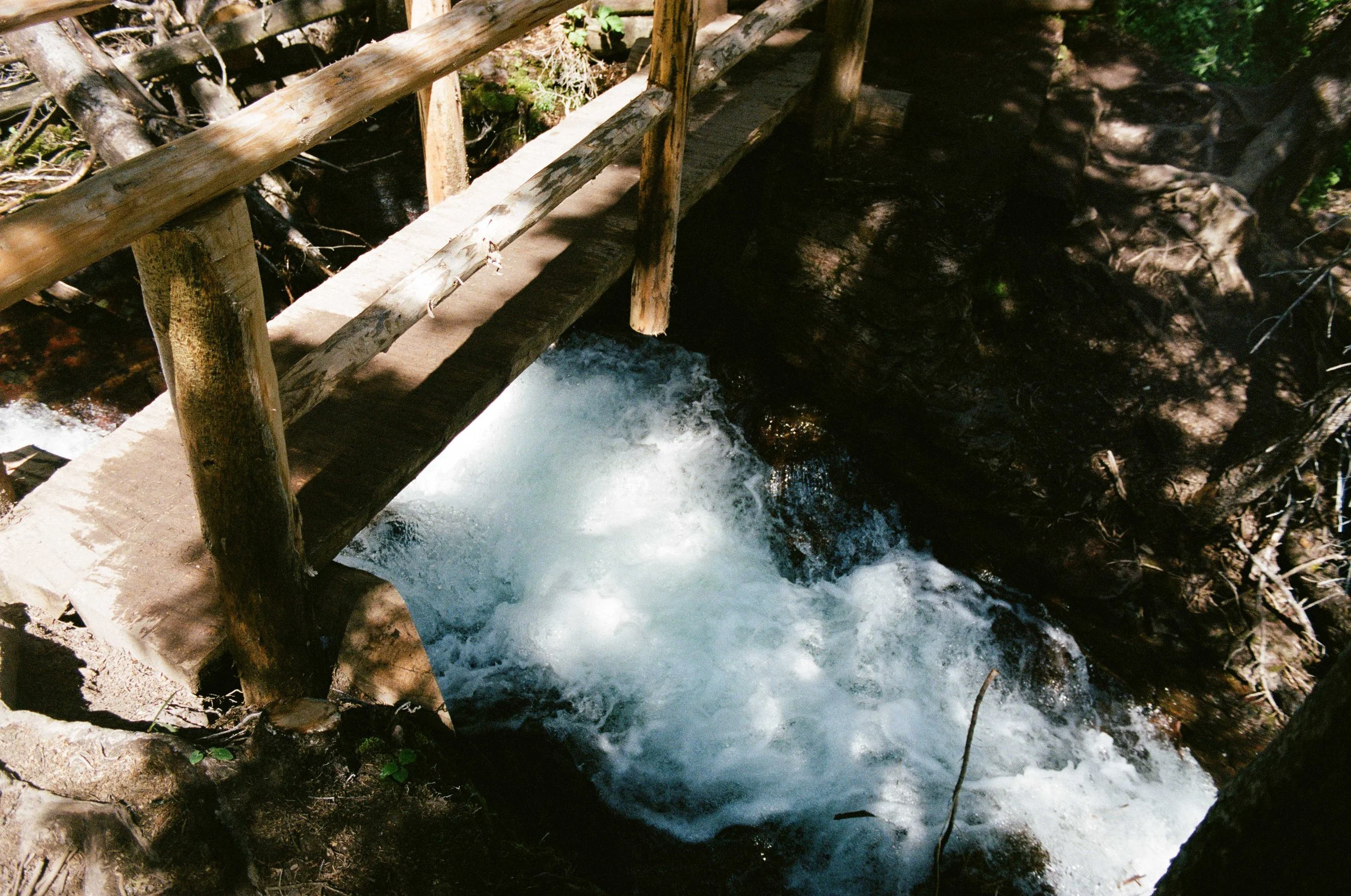 film trip-806.jpg