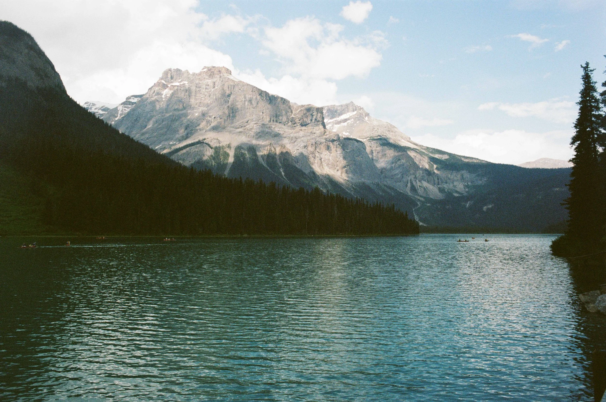film trip-754.jpg