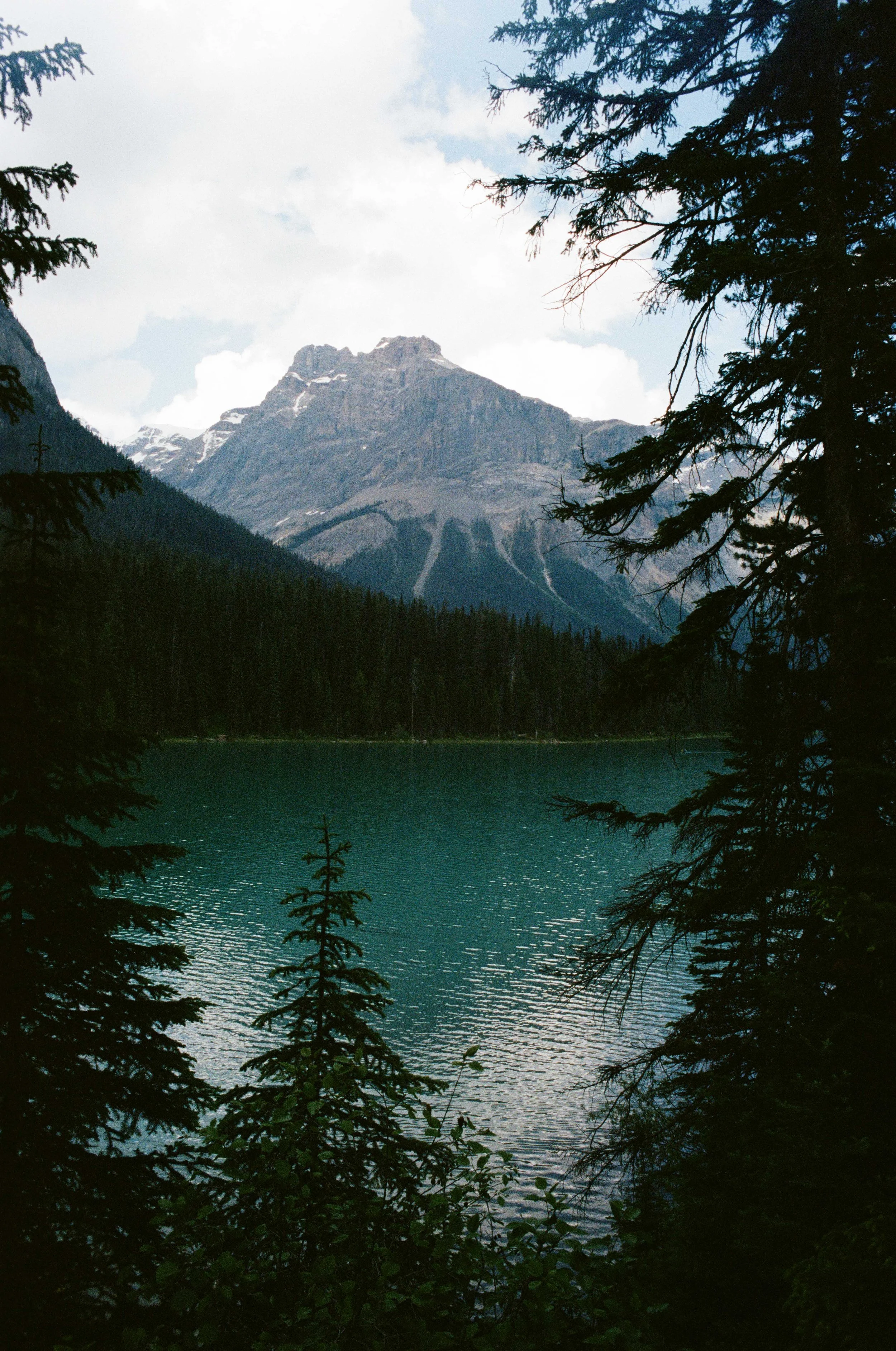 film trip-749.jpg