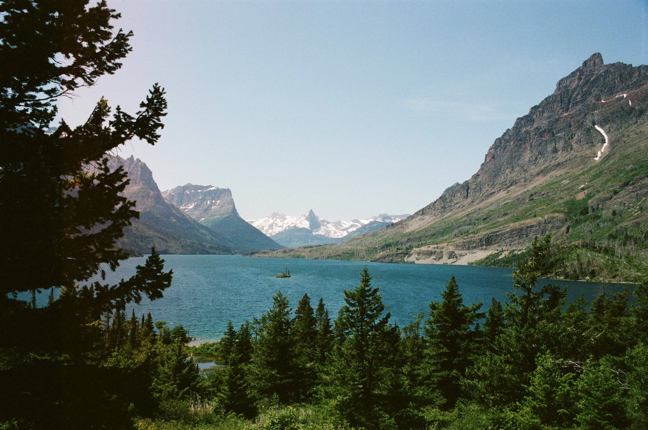 film trip-724.jpg