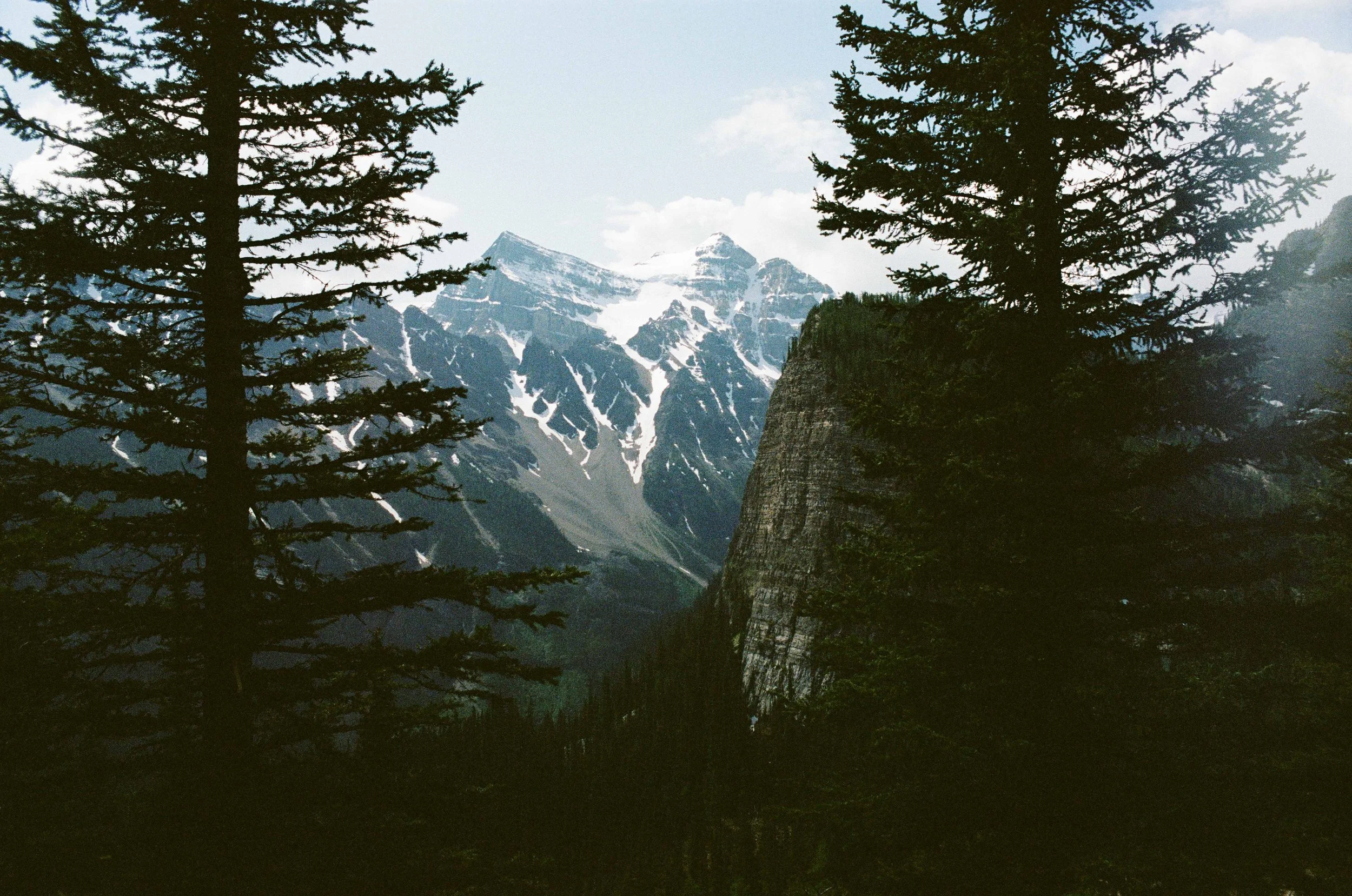 film trip-705.jpg
