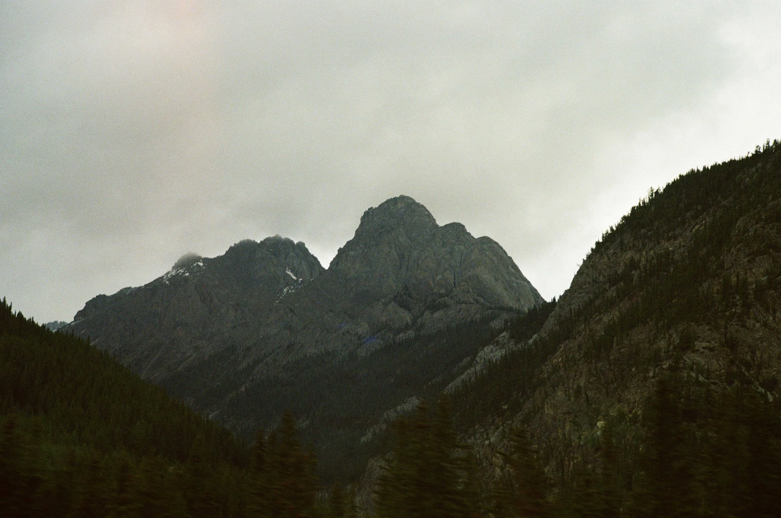 film trip-616.jpg