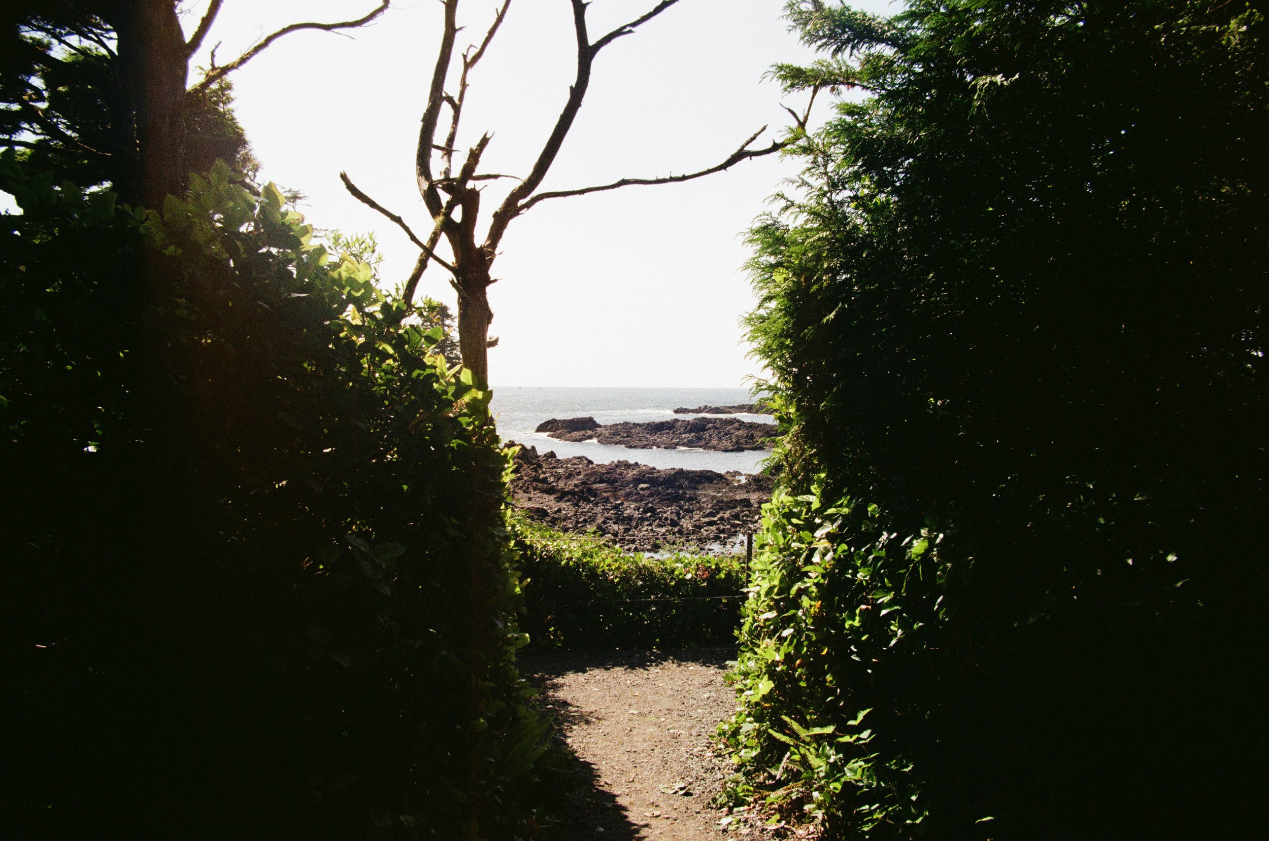 film trip-610.jpg
