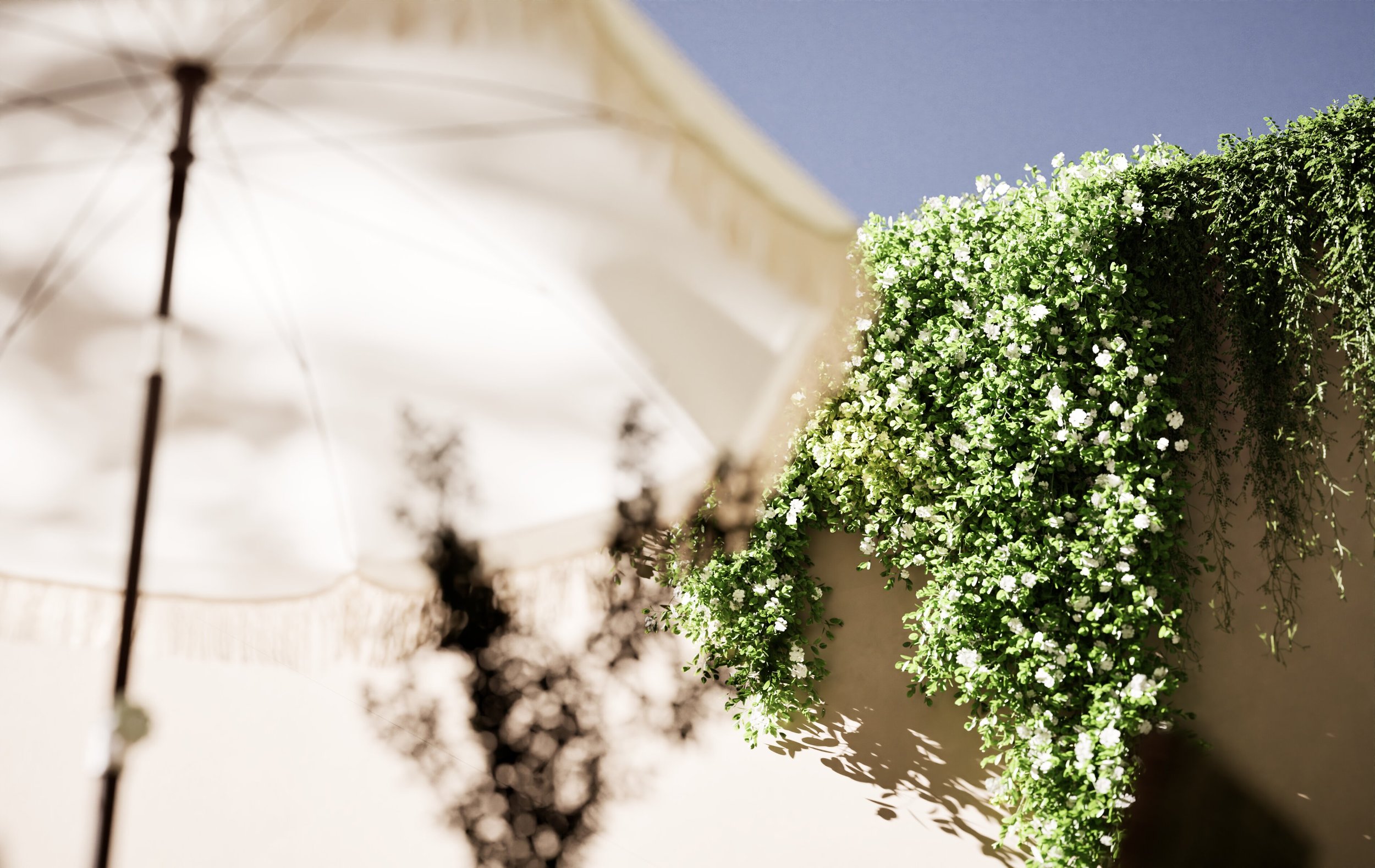 Plant-Powered Design