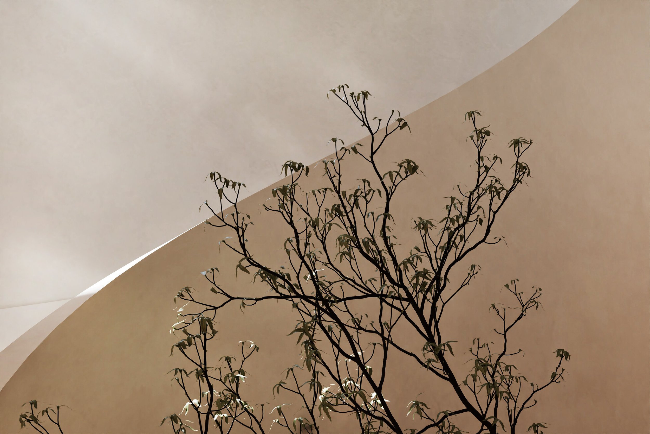 Spiral staircase by Go Nuts Design