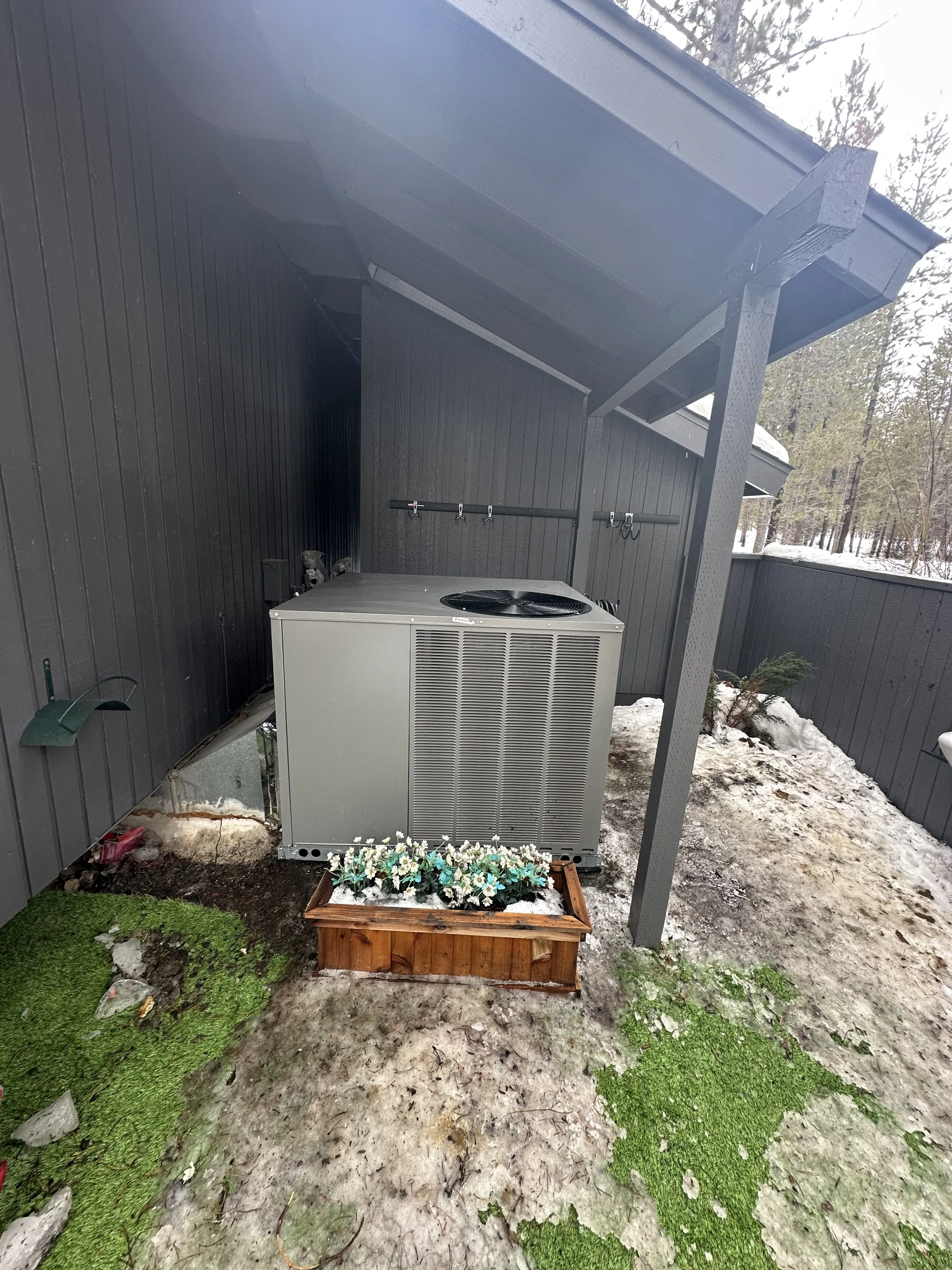 IMG_20250305_141619 (2).jpeg