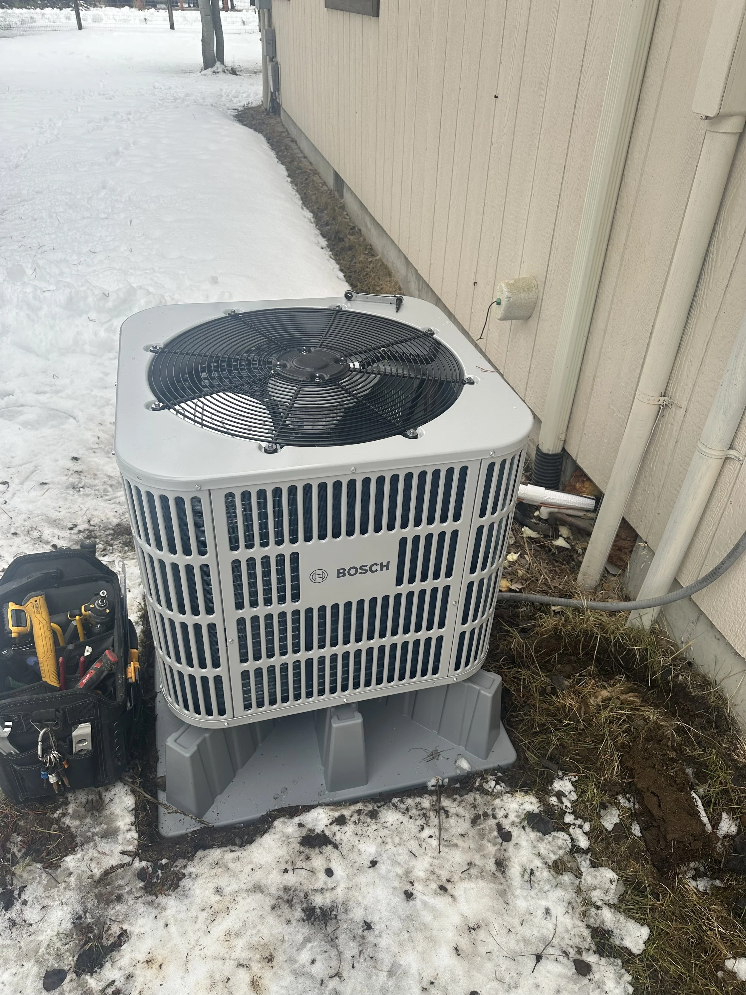 IMG_20250305_141619 (8).jpeg