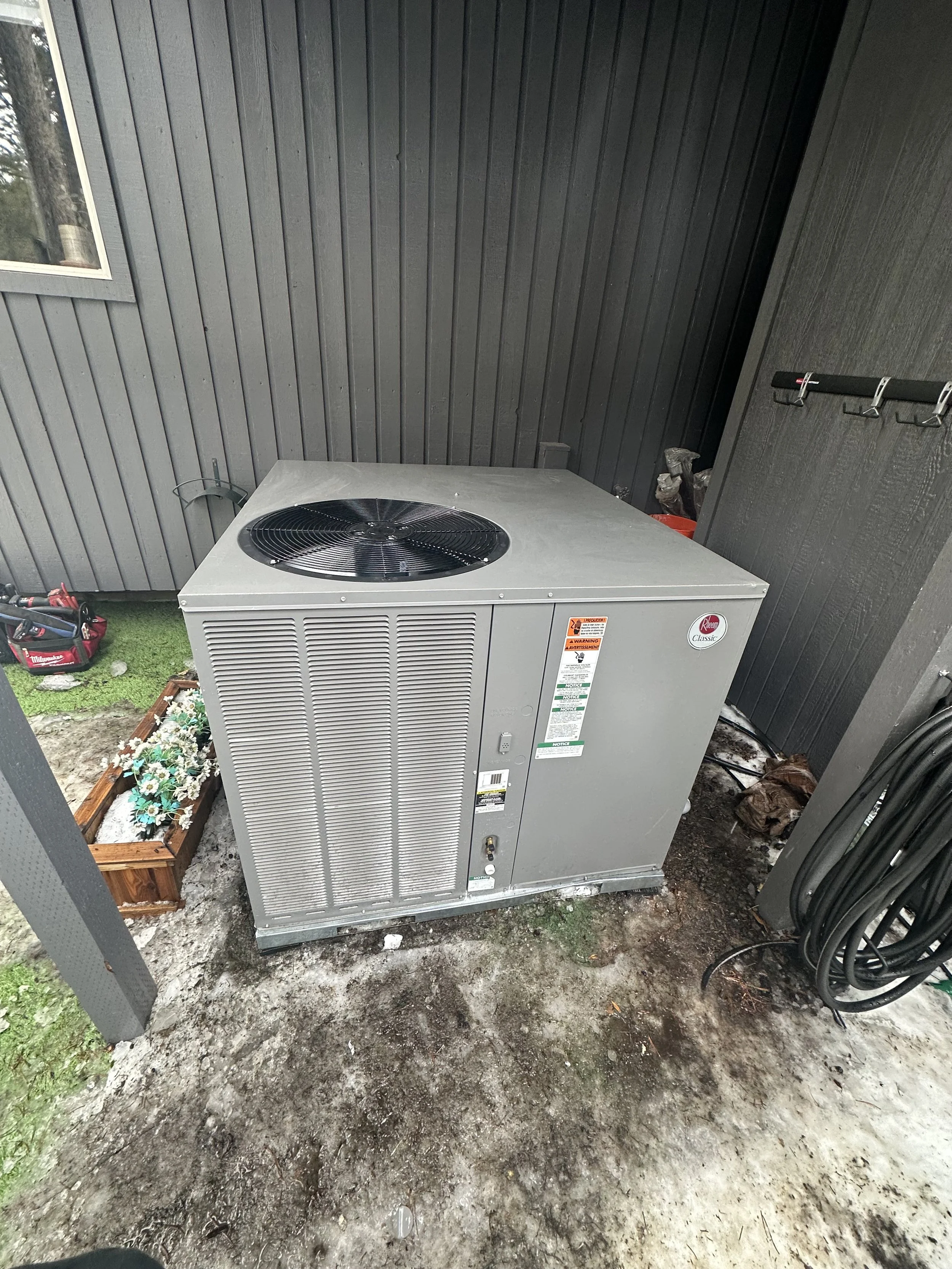 IMG_20250305_141619 (1).jpeg