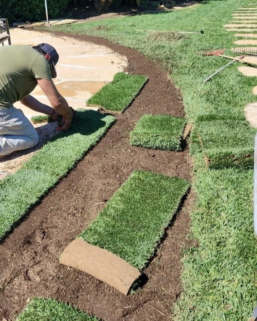 Lawn Installation