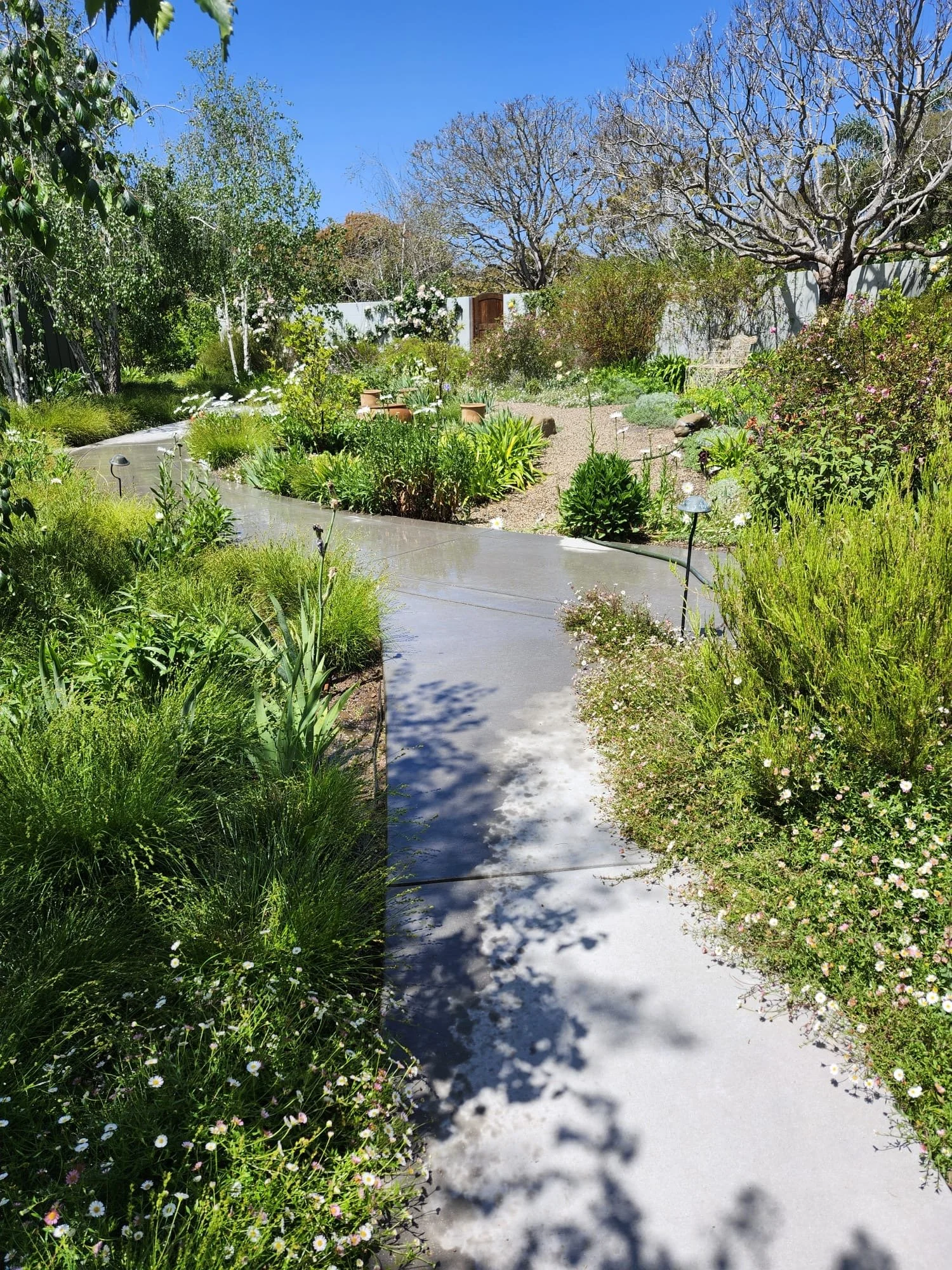 Oranssi previous project