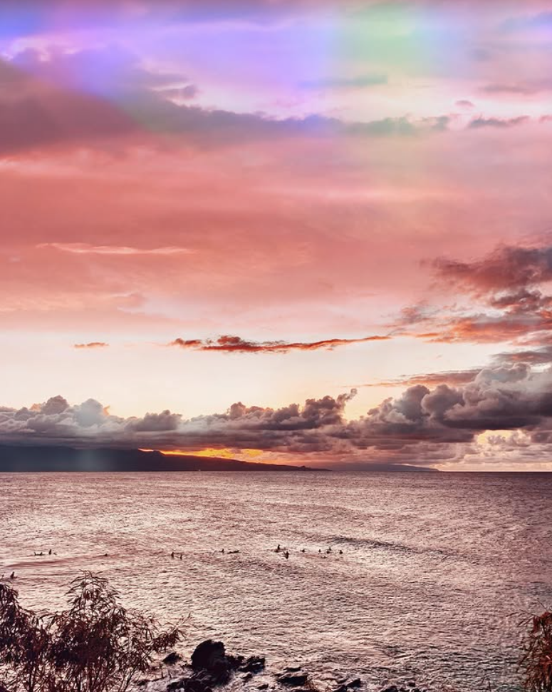 Screenshot 2026-02-24 at 5.00.25 PM.png