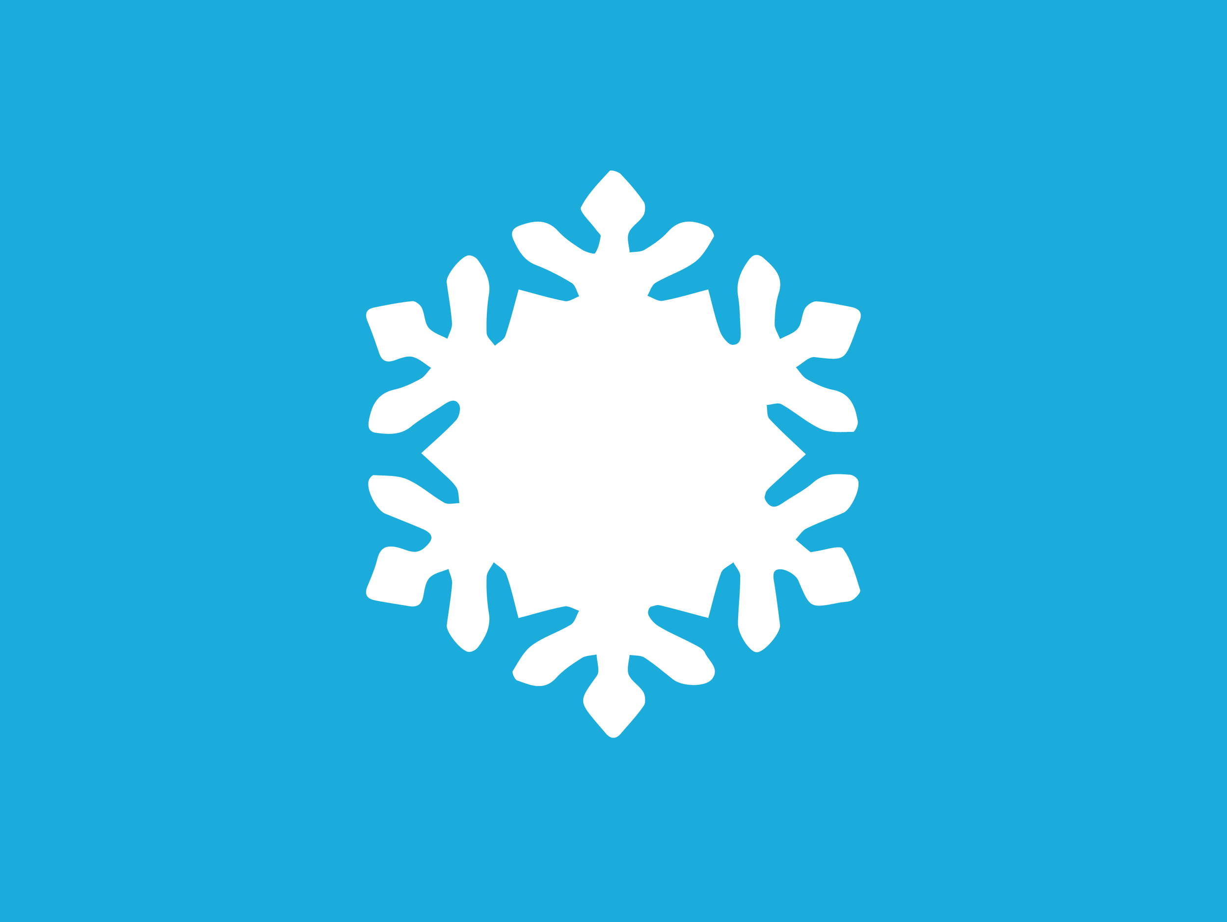 DOHS Holiday Social Animation Campaign