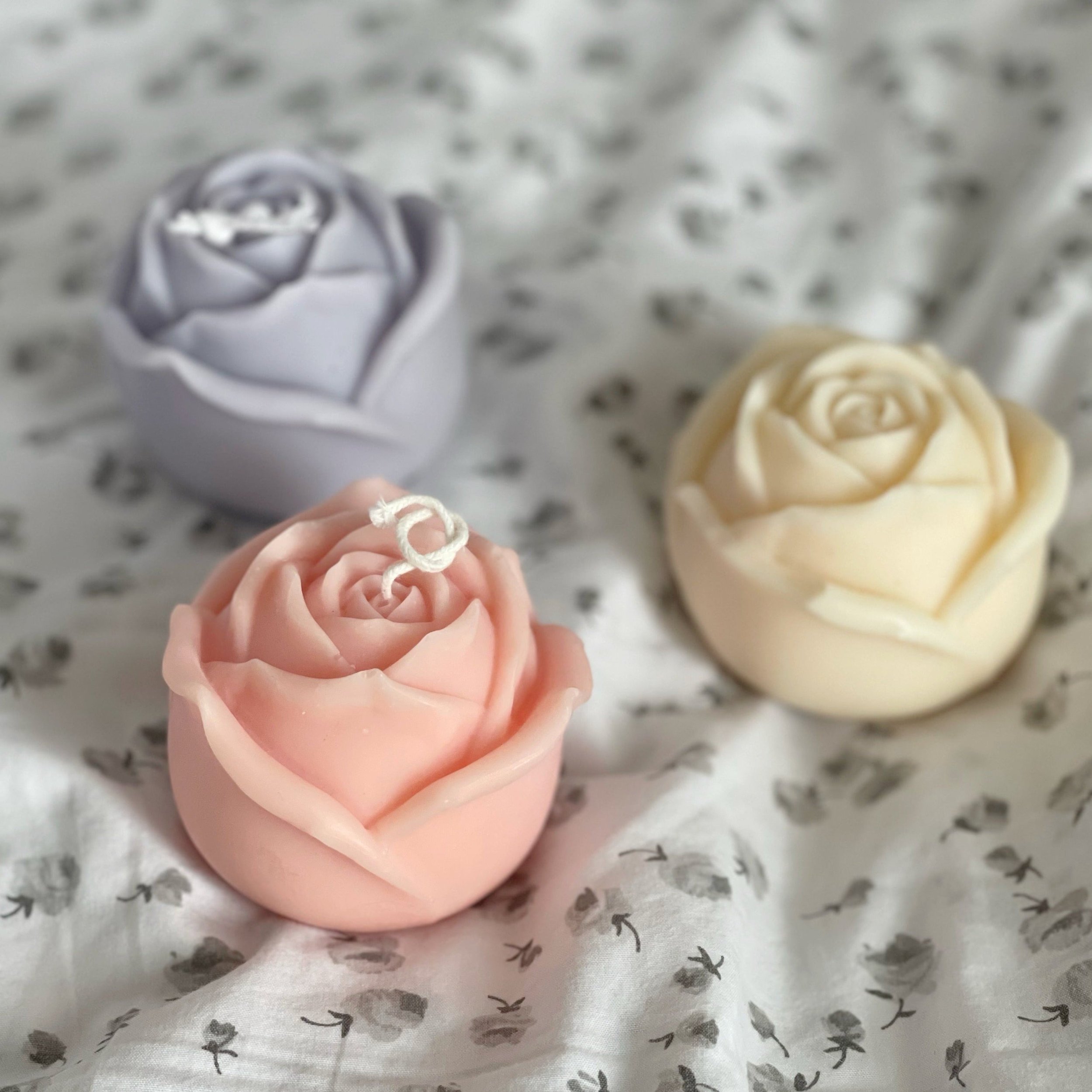 image_d11f6f83-a7c5-4f3e-b2c9-aa8adcd12c55.jpg