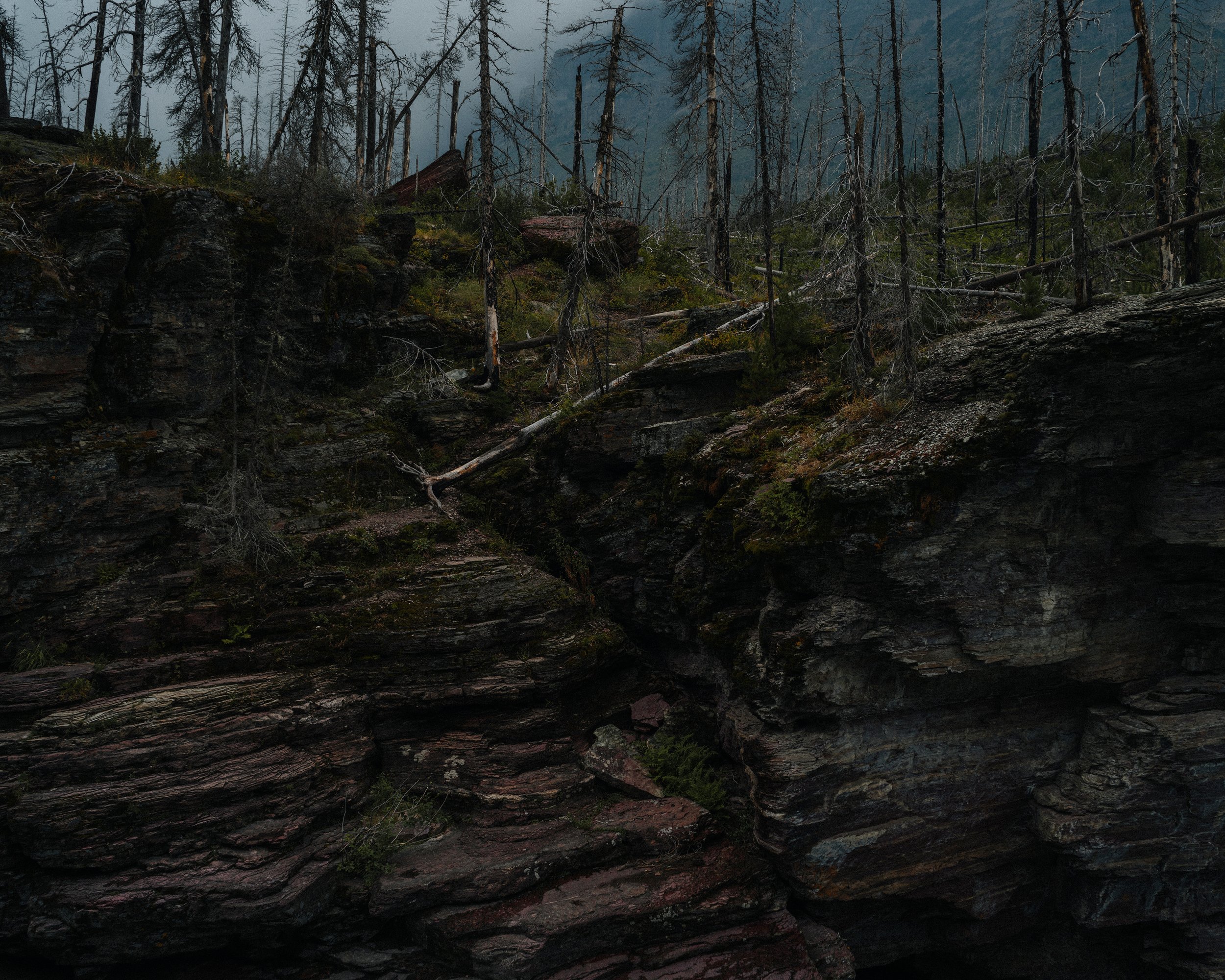 Glacier National Park, Montana