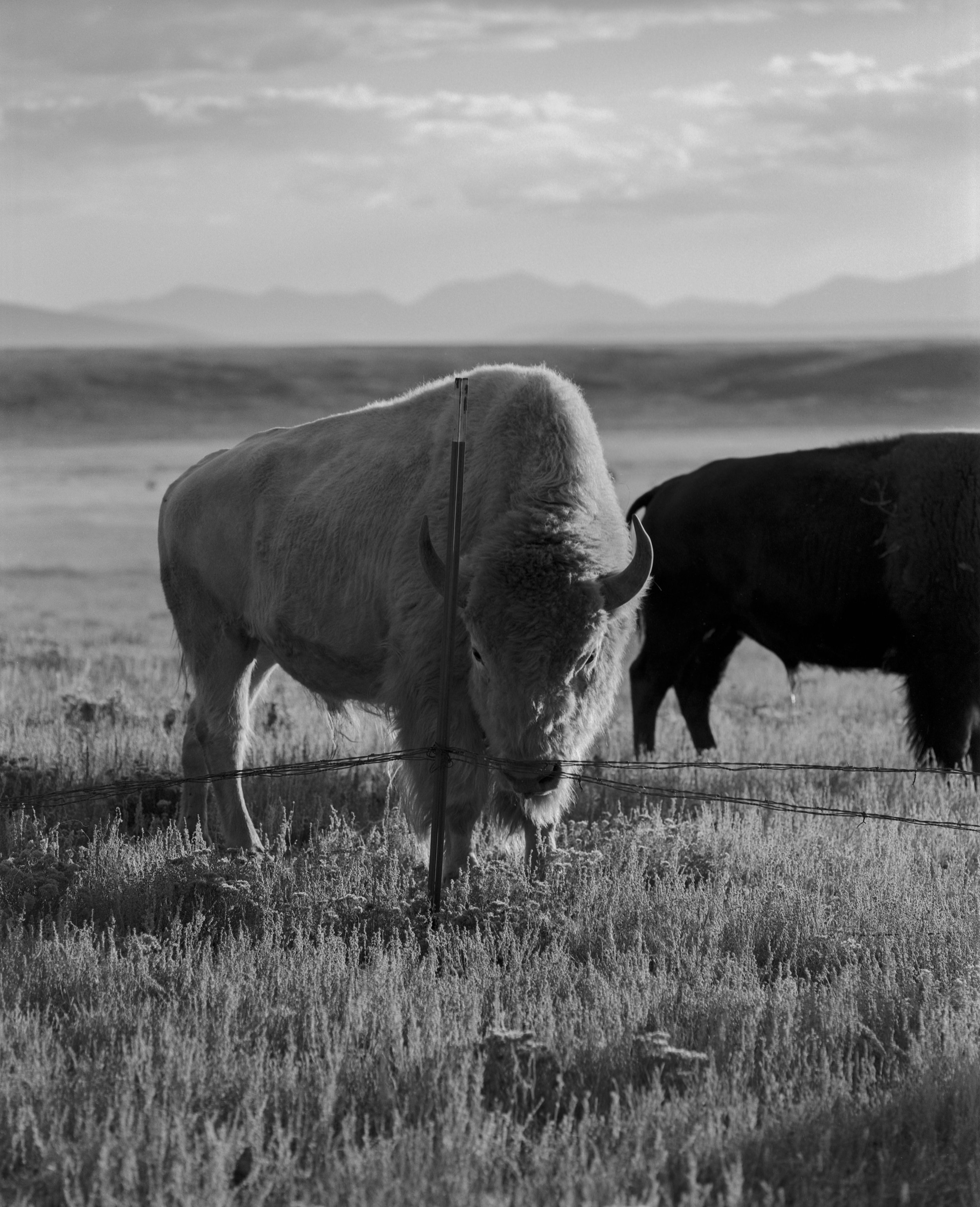Park County, CO 2021