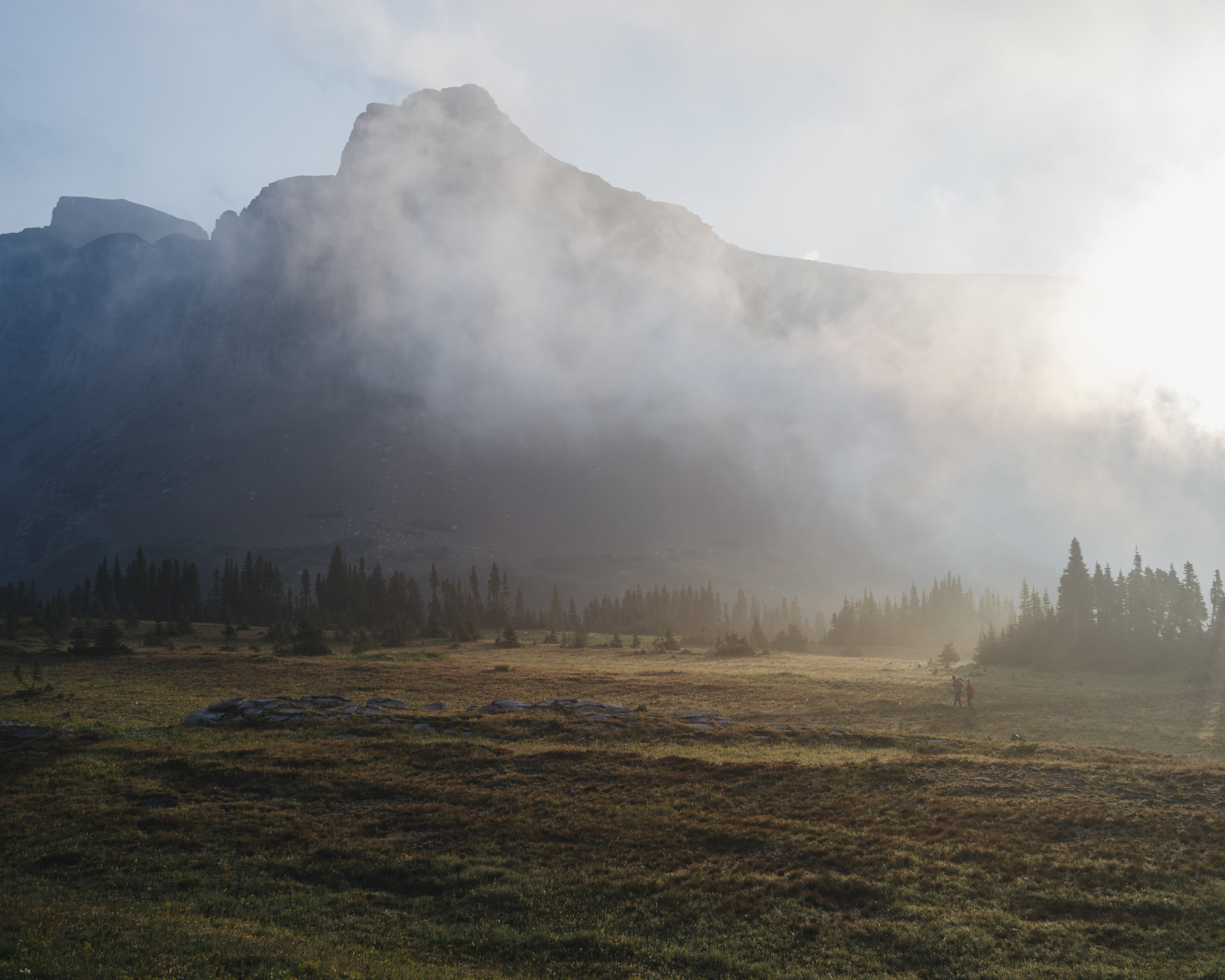 Logan Pass, Glacier National Park 2024