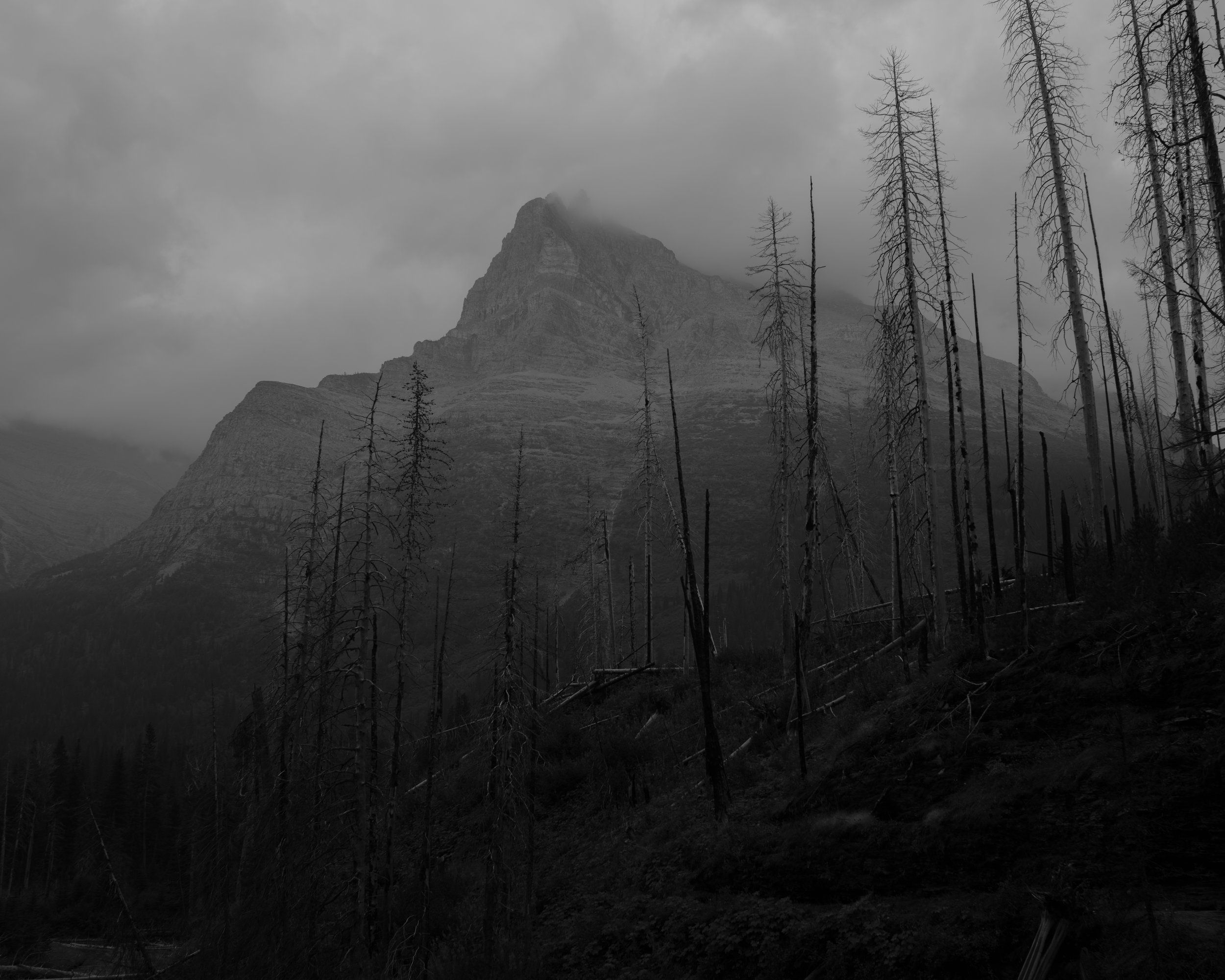 Glacier National Park, Montana 2024