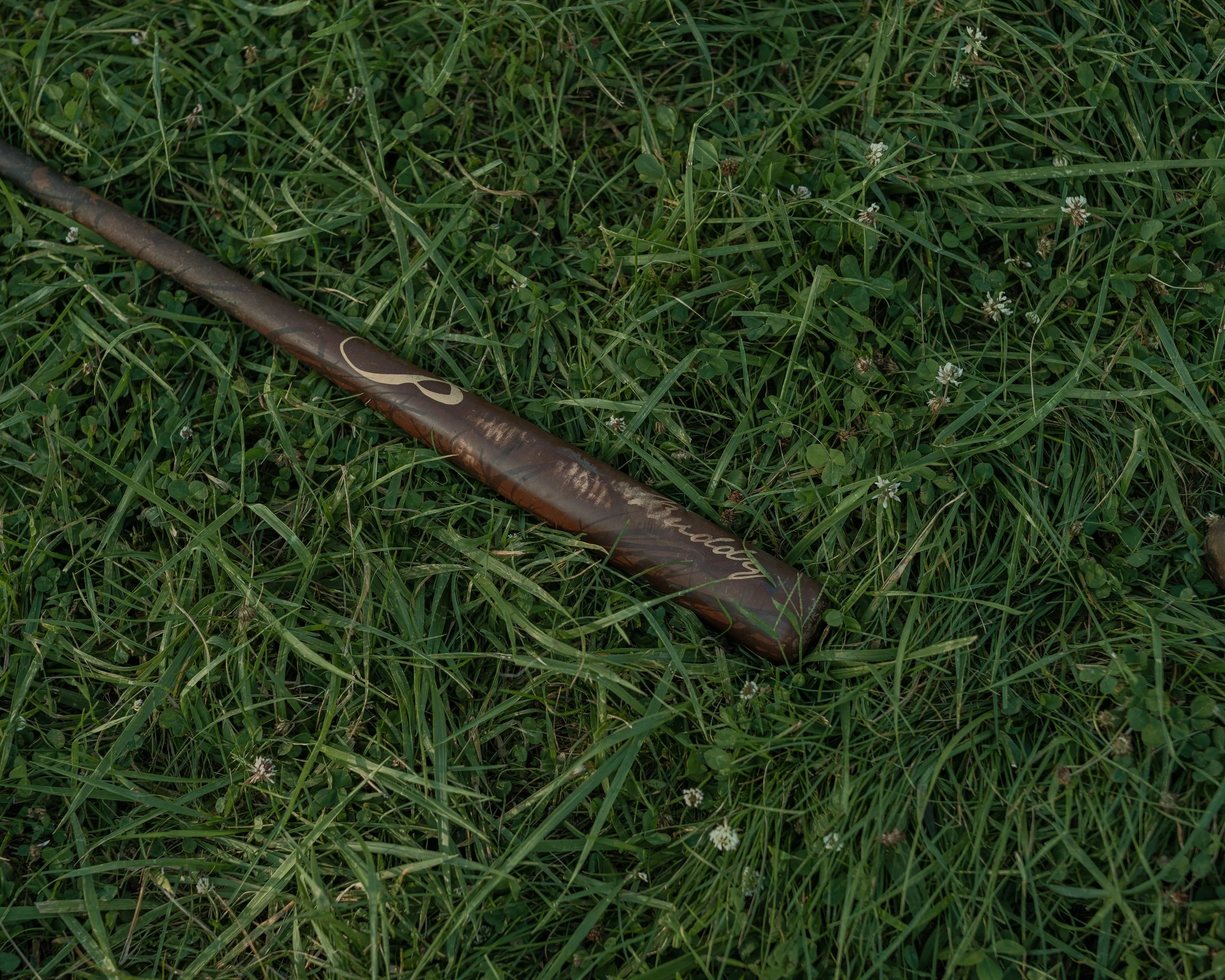_DSF6139.jpg