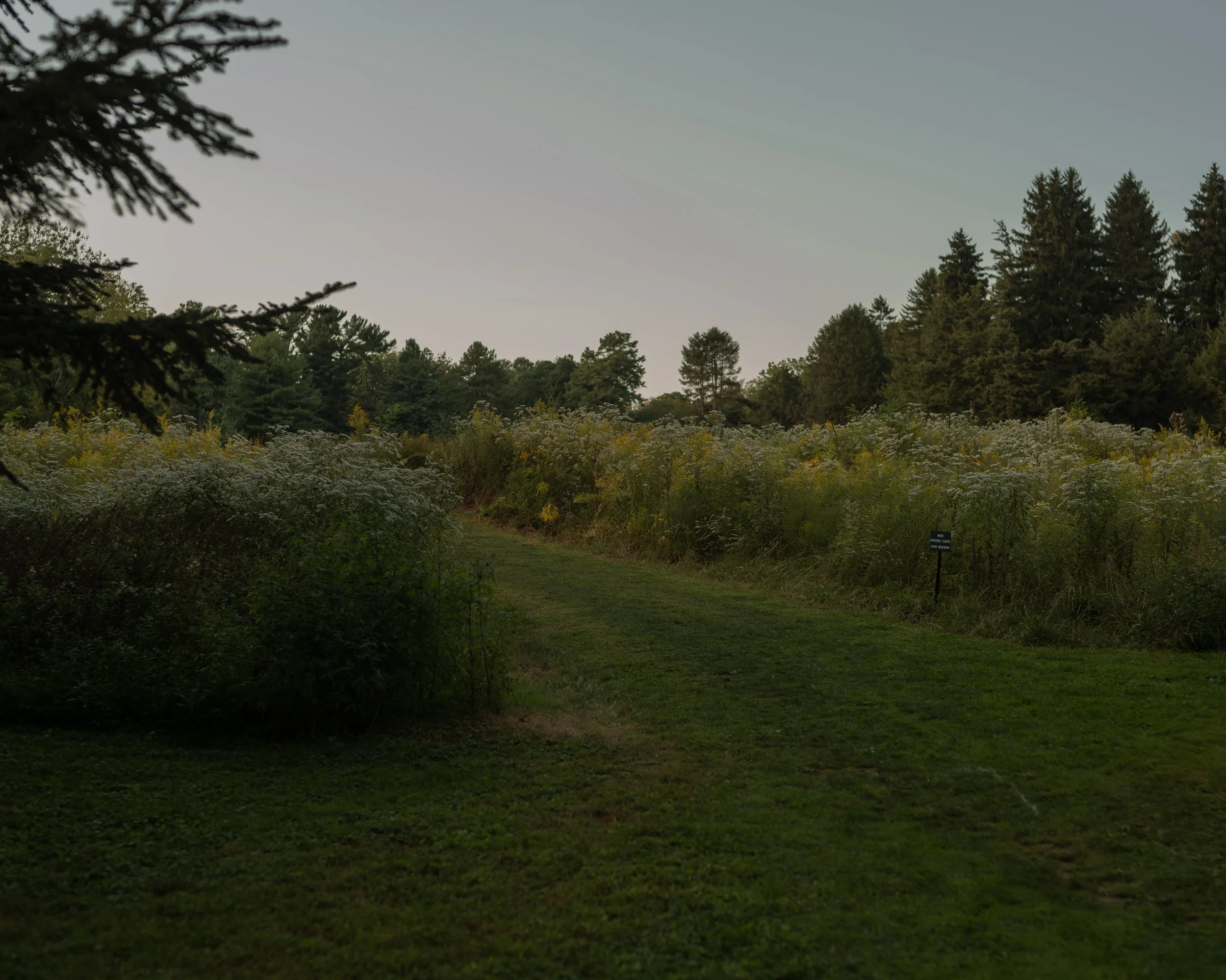 Haverford College Photos 9-19-2025-4.jpg