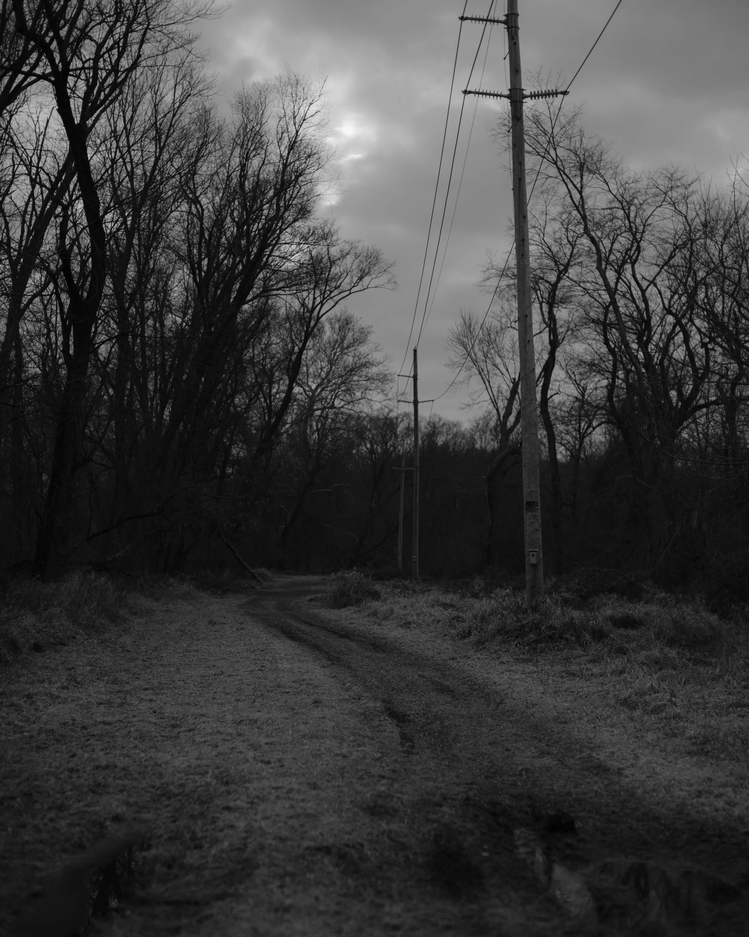 kuerner selects-8.jpg