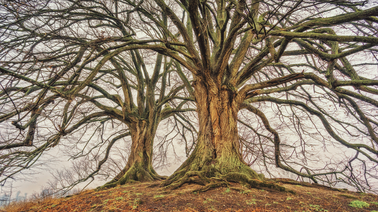 The Art of Grounding — Finding Steadiness Beneath the Flow