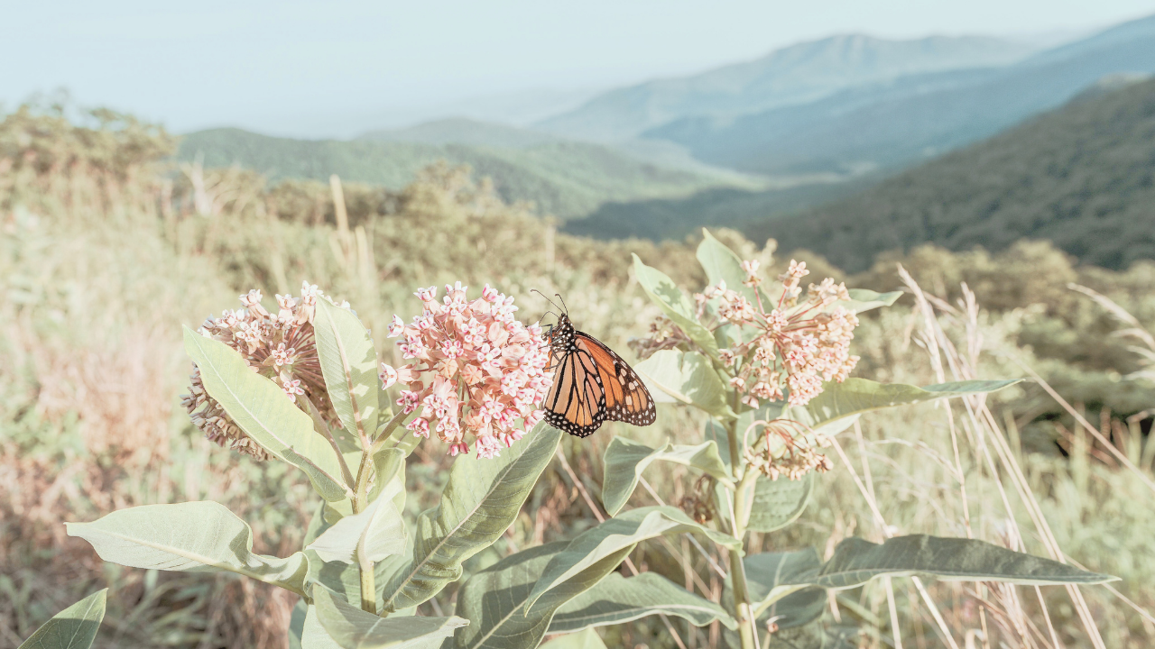 The Edge We’re All Living On