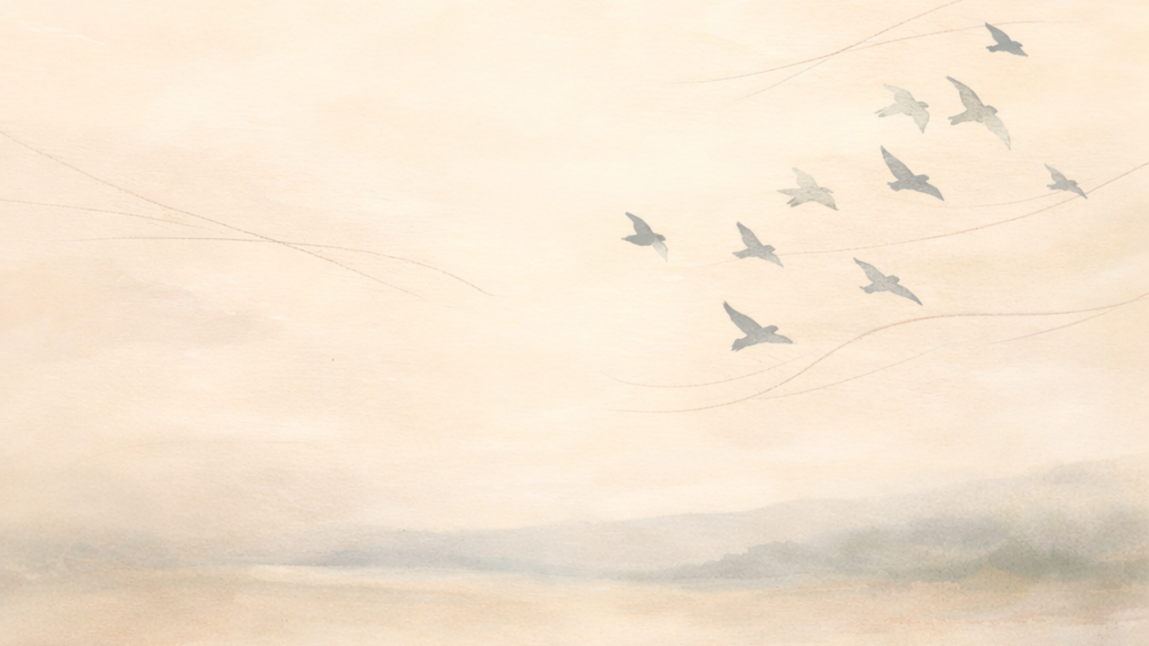 The Quiet Shape of Freedom