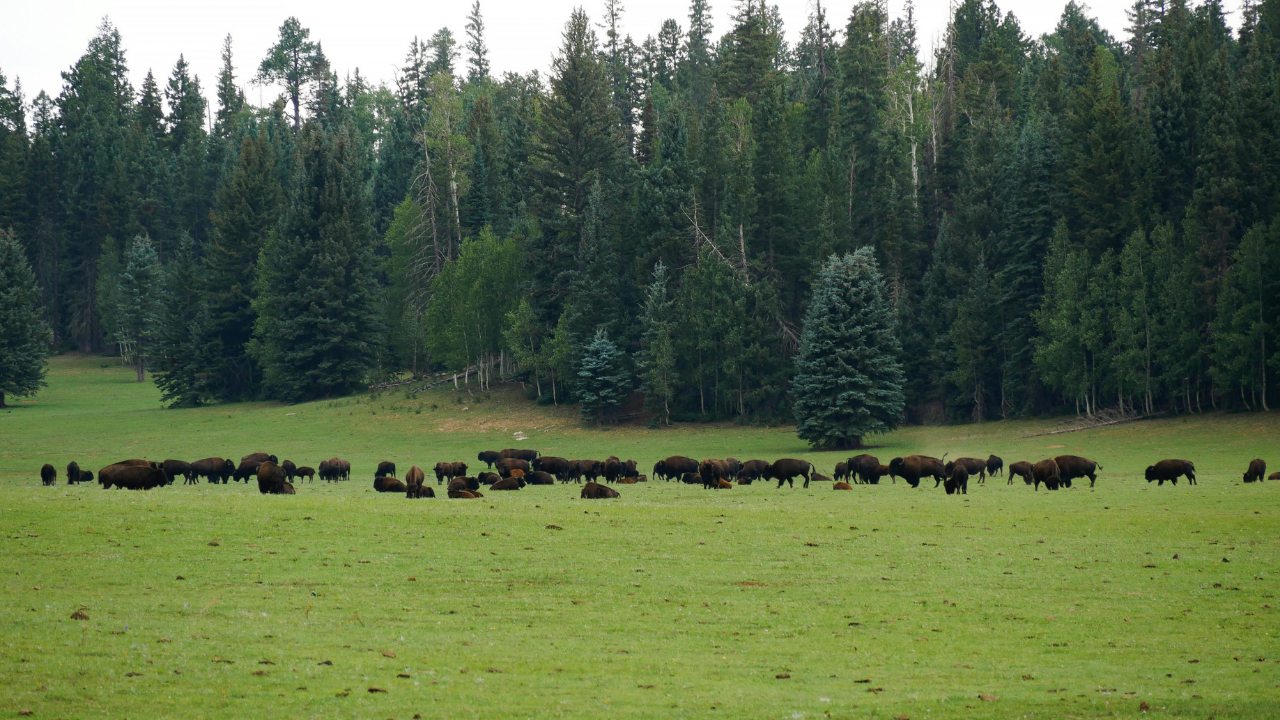 The Middle - On Belonging, Anonymity, and the Relief of Not Performing