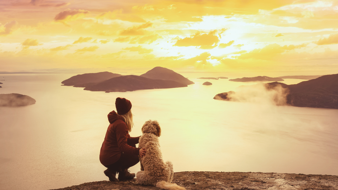 The Lull: When You Love Your Life and Still Feel Restless