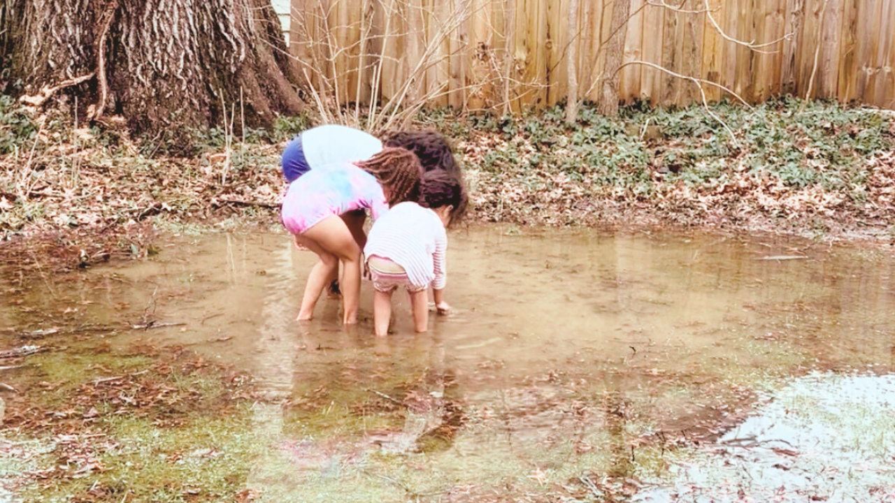 We Have More Information Than Ever — But Less Wisdom