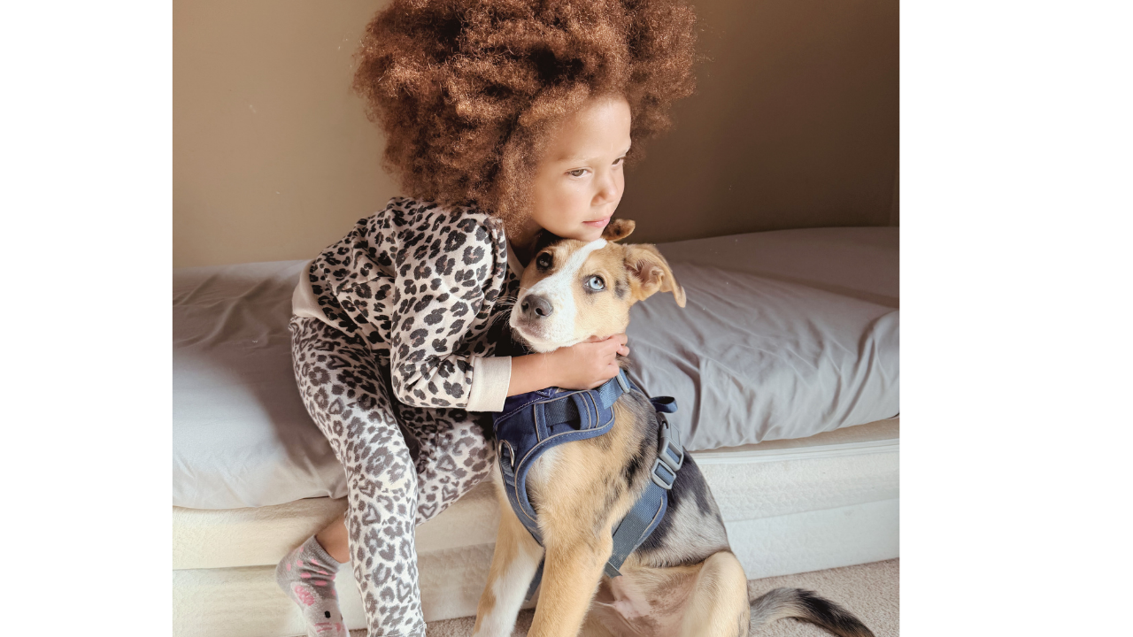 Back to Zero: What My Fitbit and My Dog Taught Me About a Day Well Lived