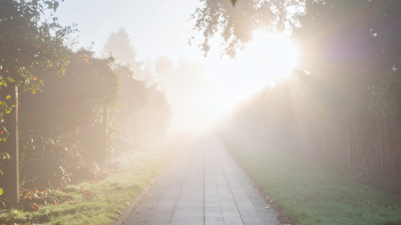 I Snapped at My Kids Because of an Email - Here's What It Taught Me About Comparison