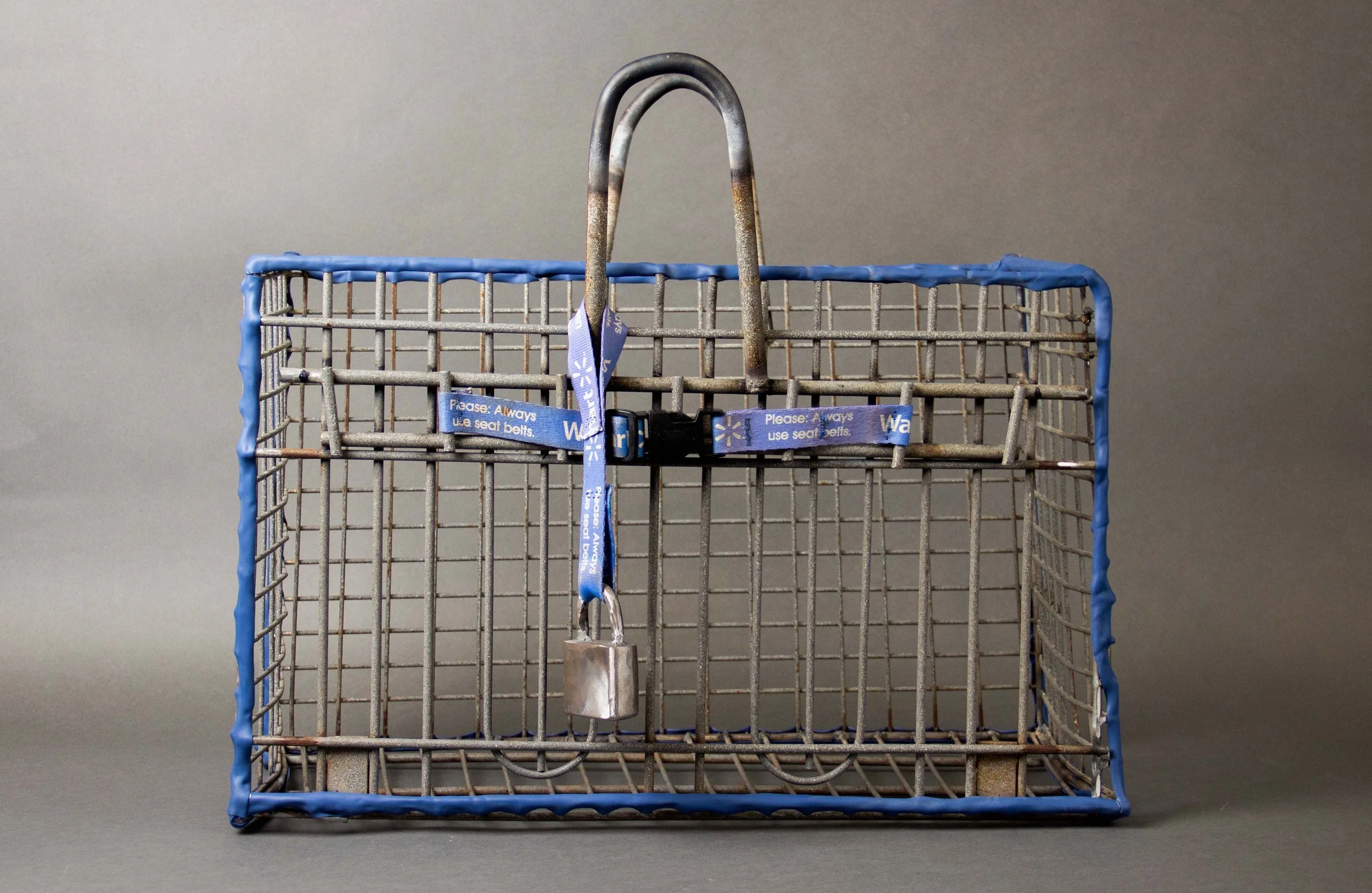 Austin_SoLastSeason_ShoppingCart,RubberTubing_19%22x21.5%22x9%22.jpg