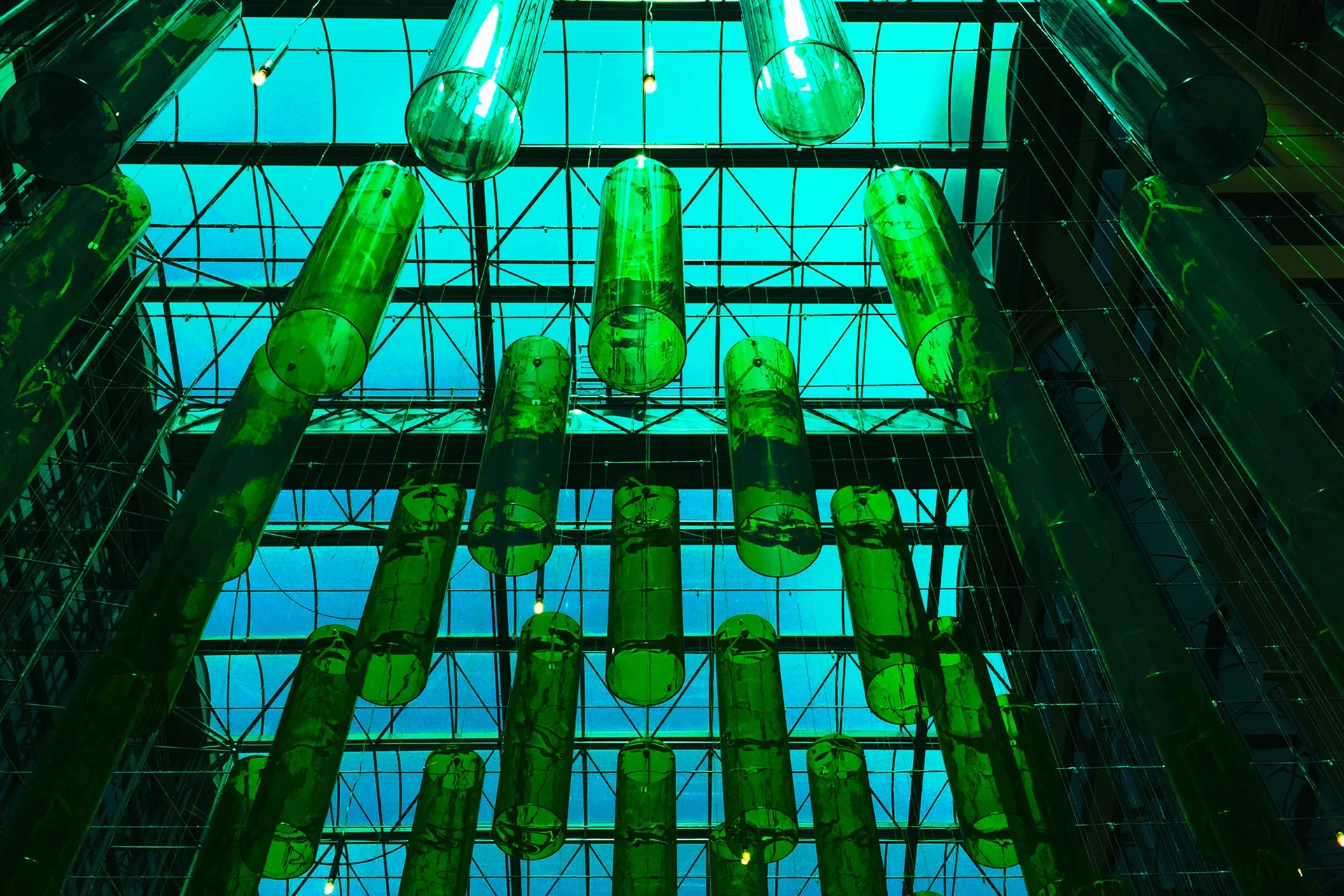 Environmental Graphics