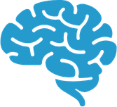 A graphic illustration of a human brain in blue.