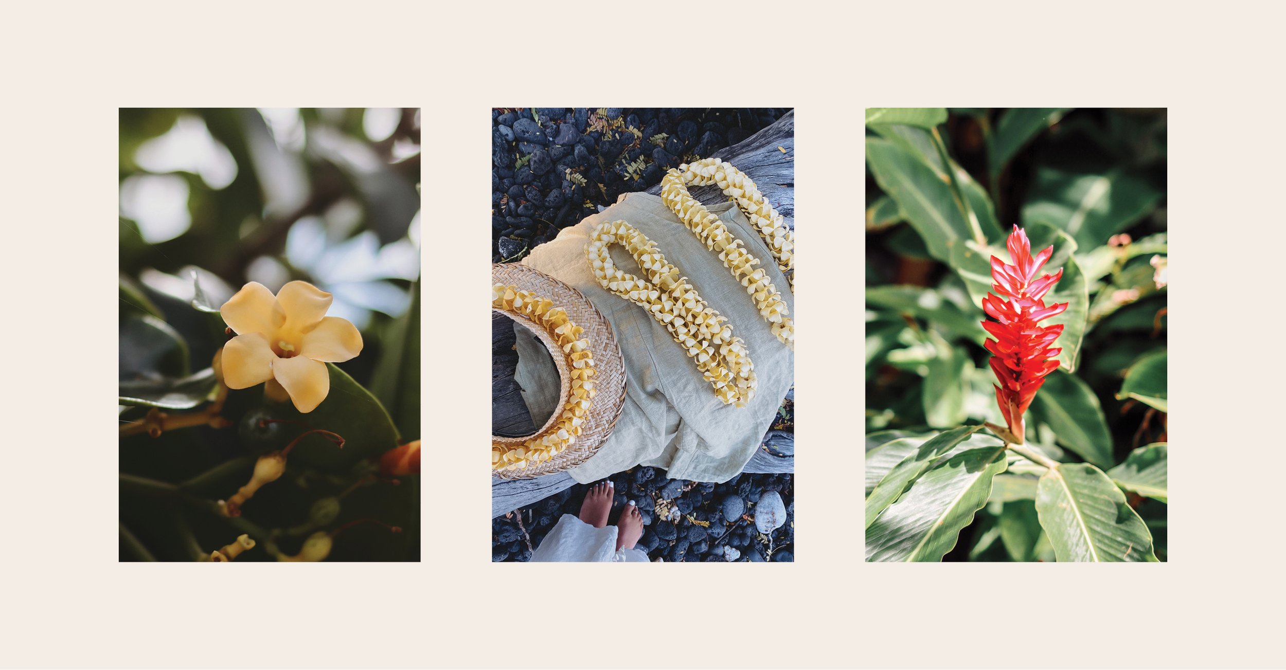 Inspiration images taken by designer | In order: Puakenikeni, Puakenikeni Lei, Red Ginger