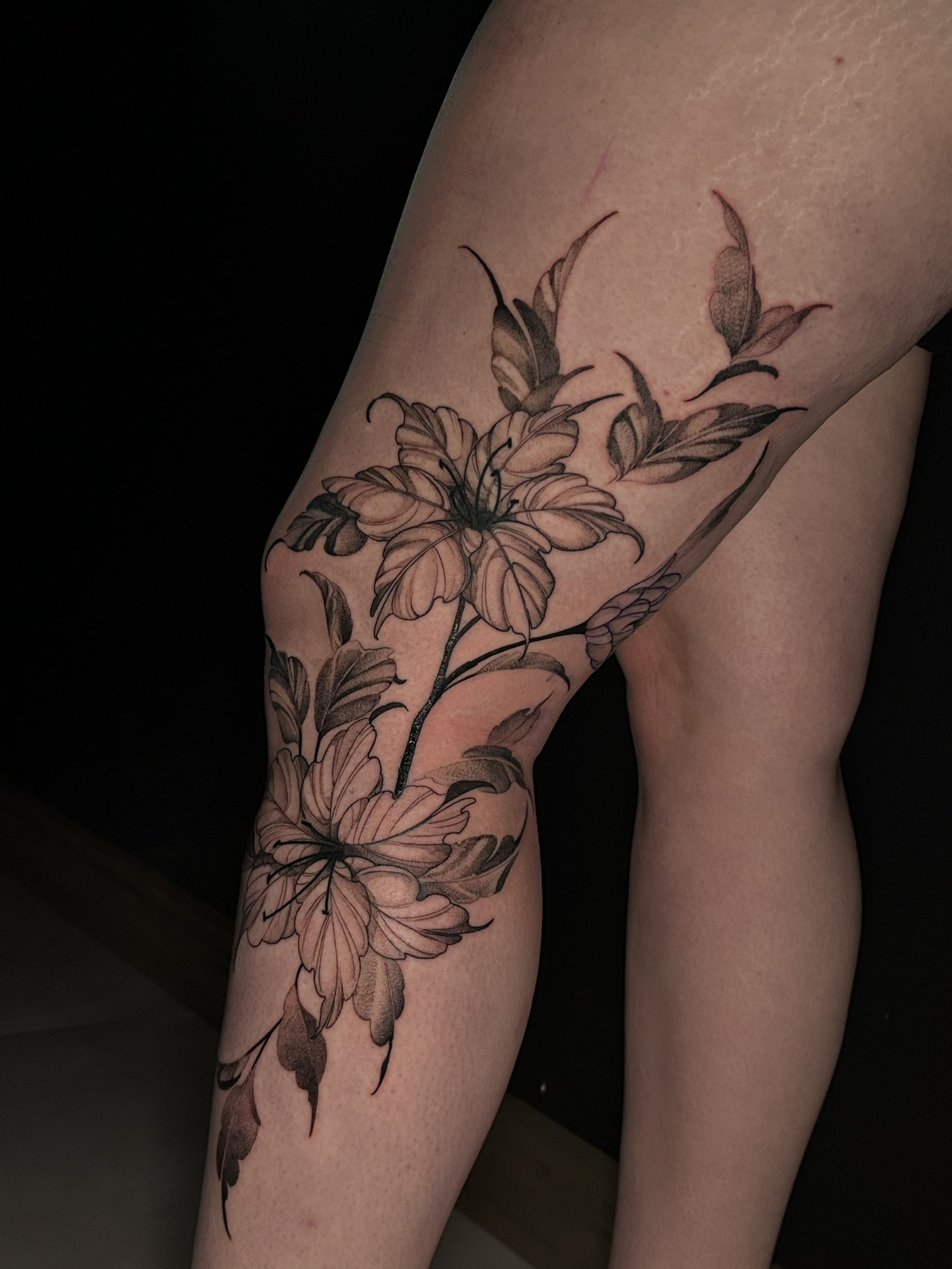 fine lin efloral outter leg.jpeg