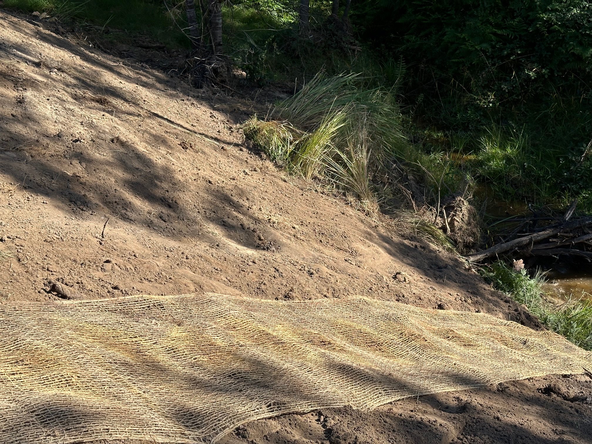 Creek-Riparian Repairs.jpg