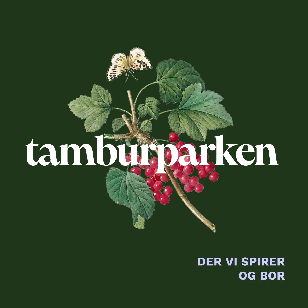 Nåbo*Tamburparken traff blink i et krevende marked