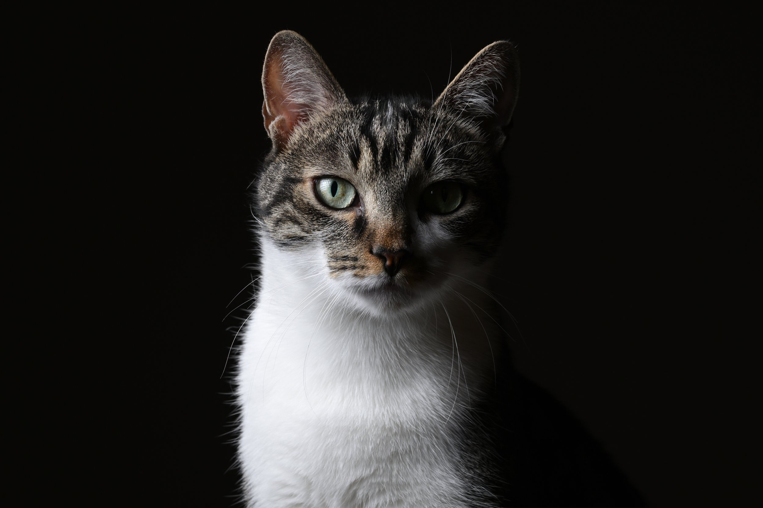 DSC_2569.JPG
