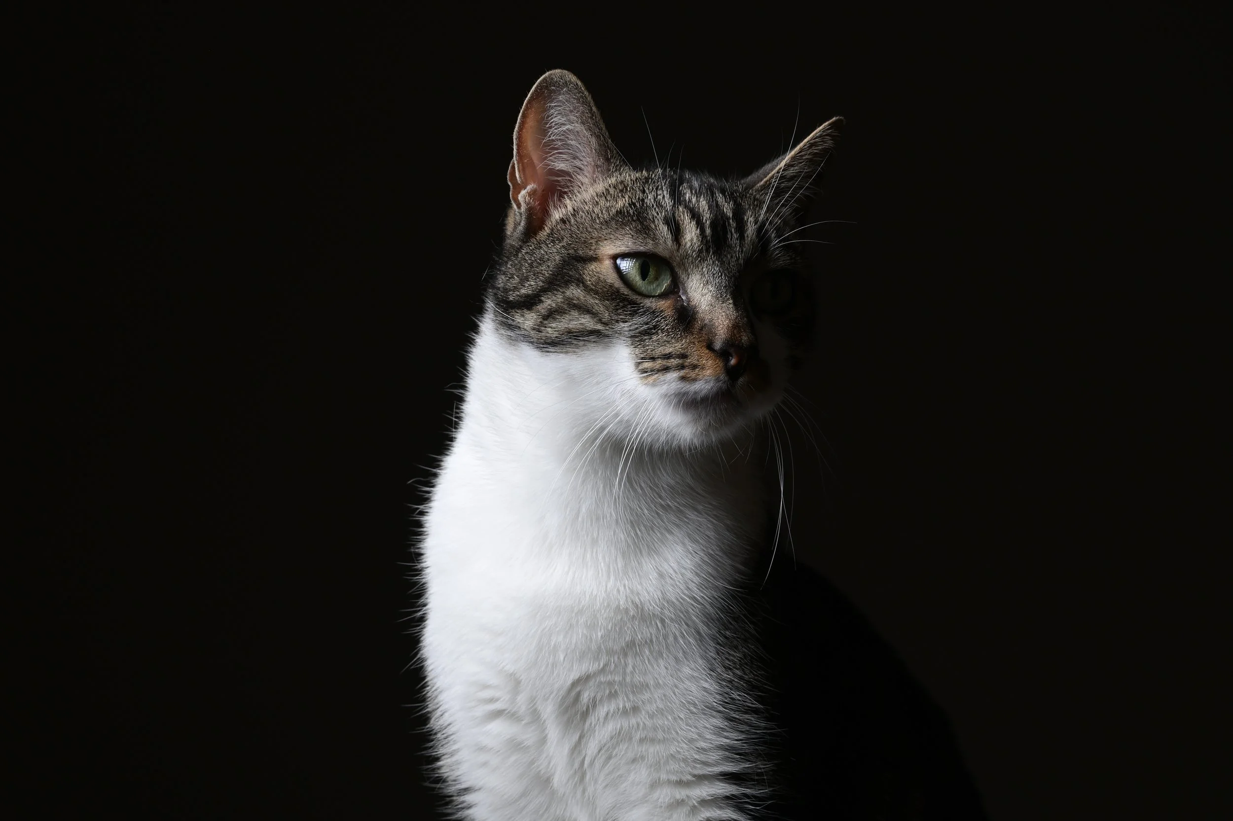 DSC_2568.JPG