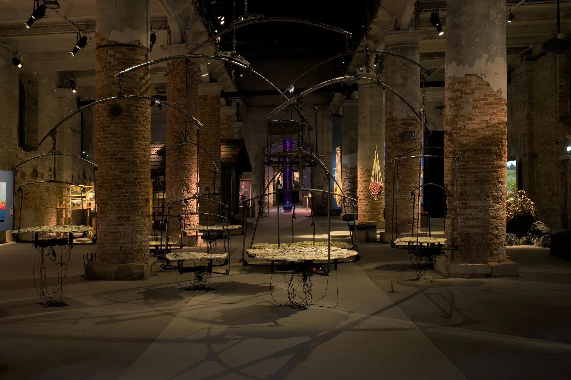 Zoltan Bodo_photographer_2026_exhibition views_4.jpg