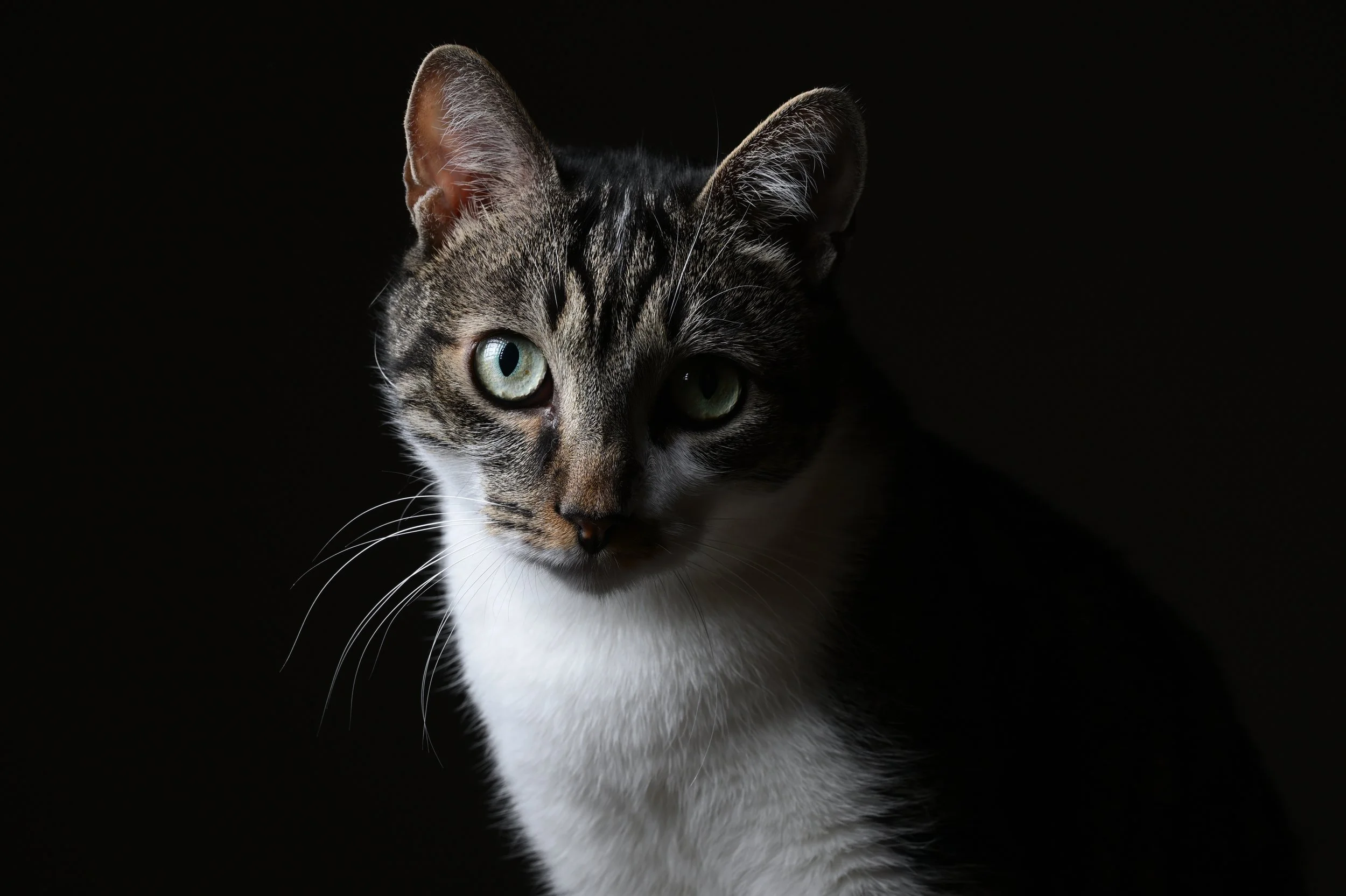 DSC_2572.JPG