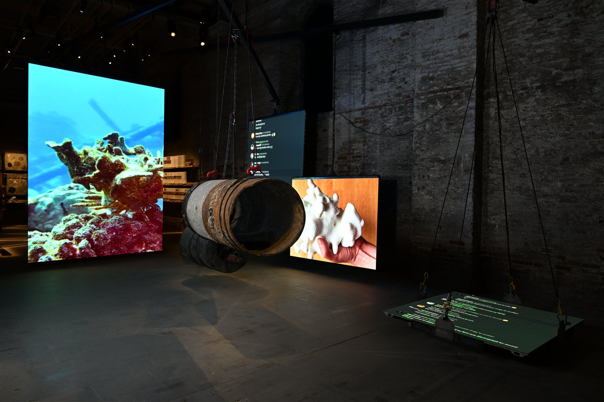 Zoltan Bodo_photographer_2026_exhibition views_5.jpg