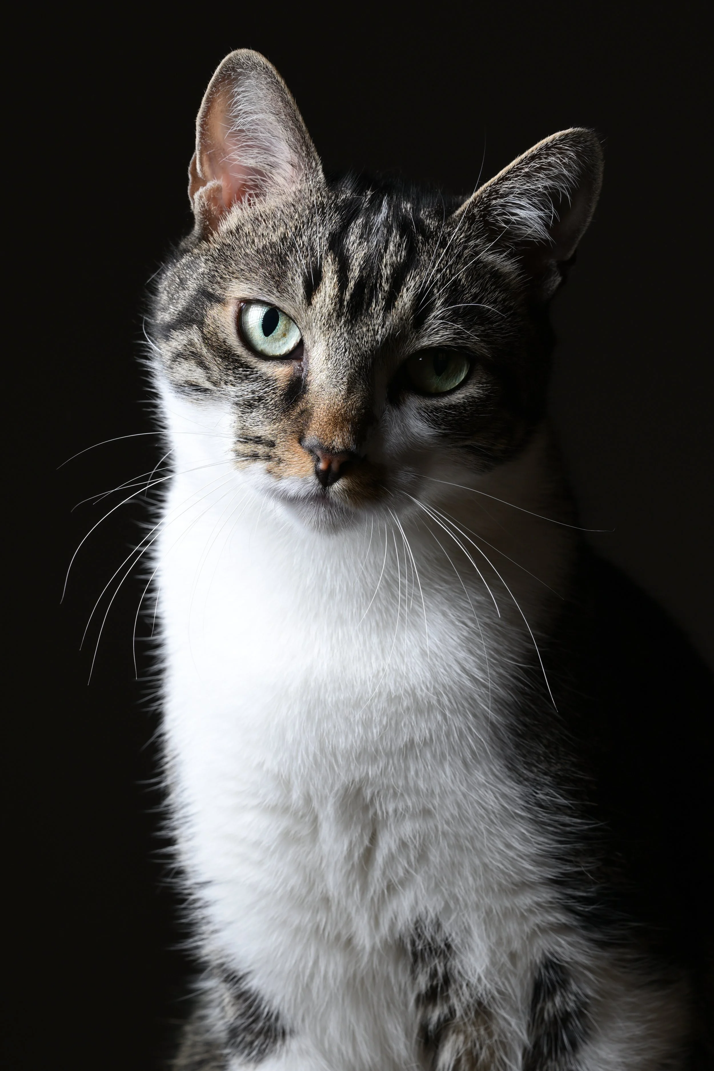 DSC_2562.JPG